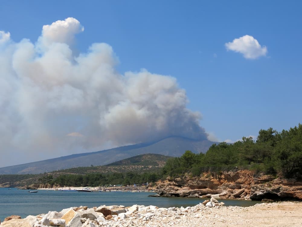 Climate Change Shapes Global Travel