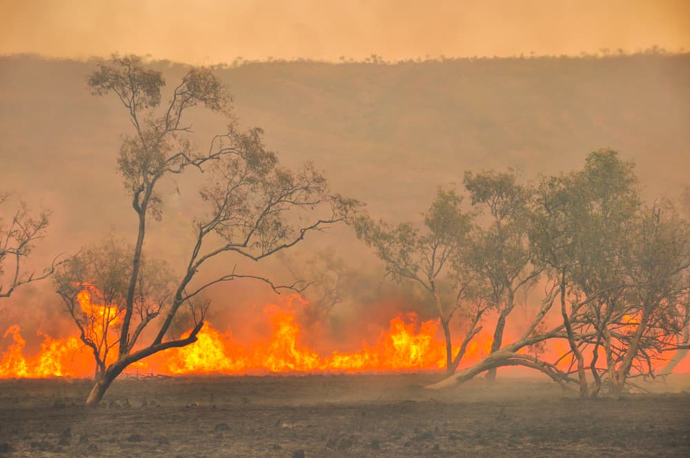 Will the fires in Northern Hemisphere affect Australia?