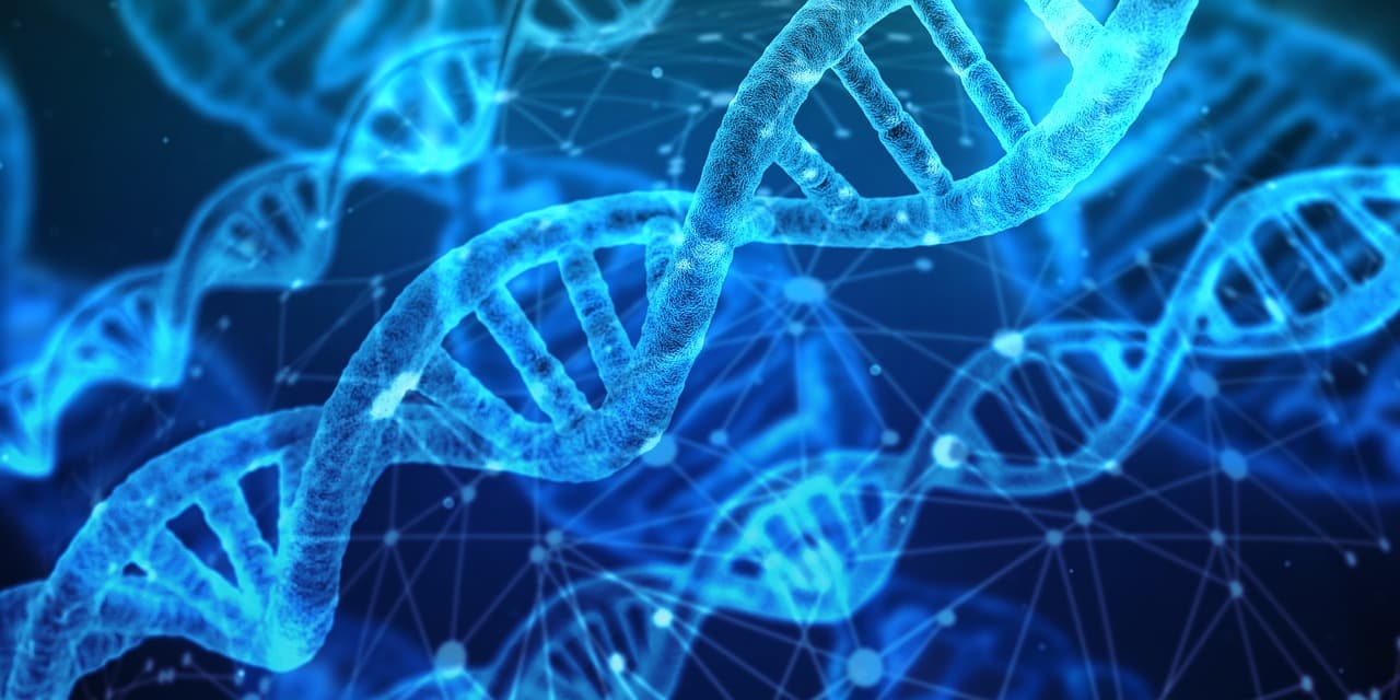 Largest ever genetic study conducted on Epilepsy
