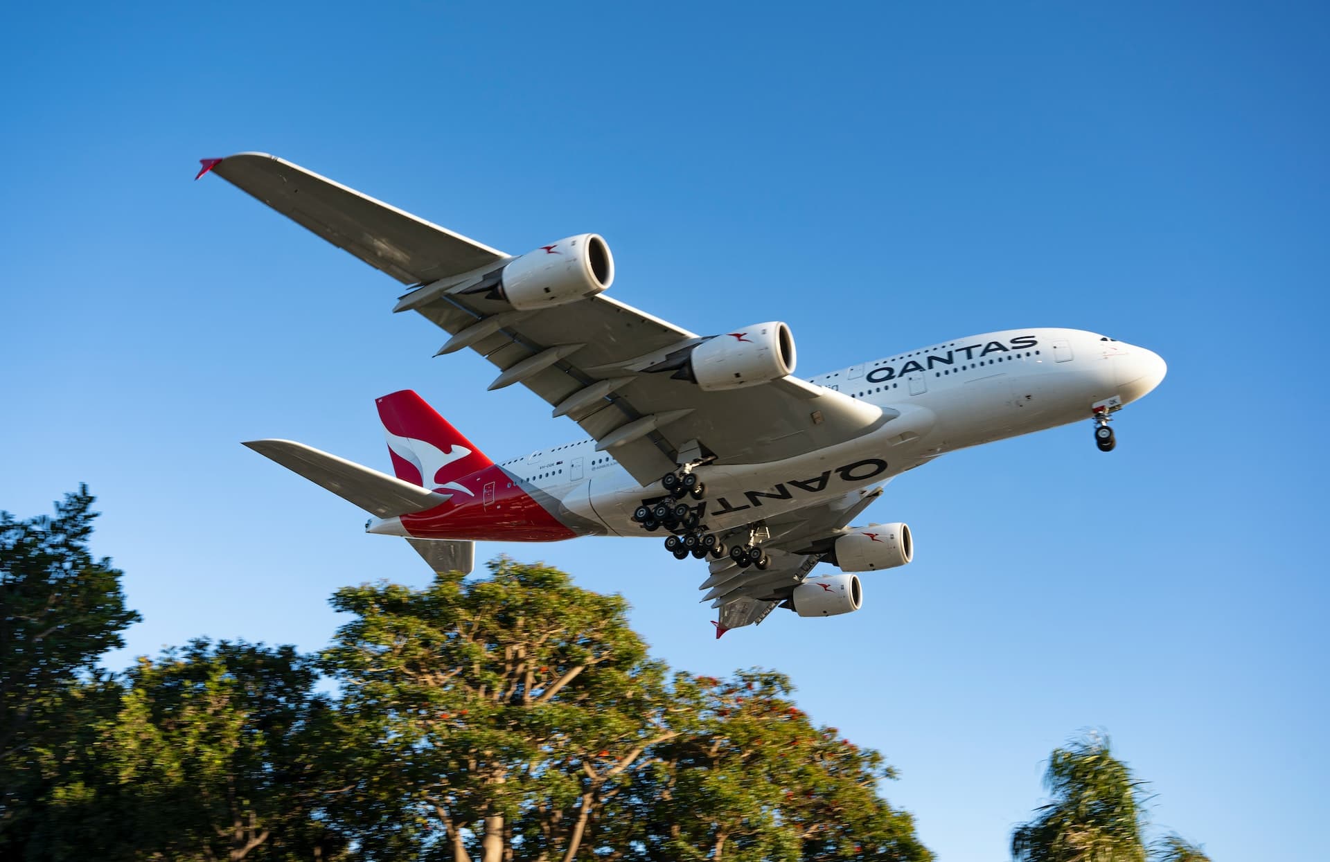 Labor Senator comments on Qantas High Court Ruling