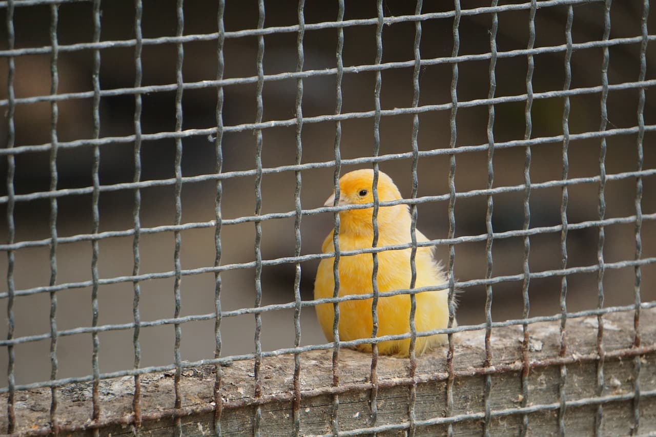 The emotions to be behind bars