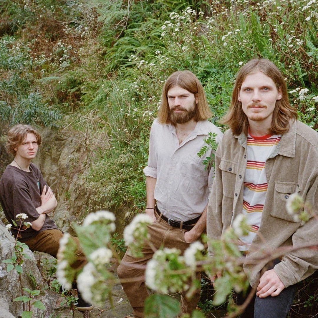 Scatter Light drop last single of the year ‘Too Late Now’