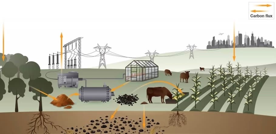 BIOCHAR – golden Carbon to stop planet heating