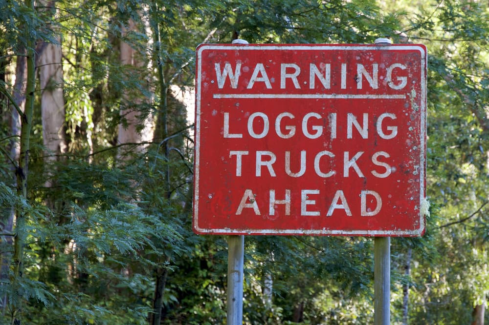 Logging continues around threatened Gliders