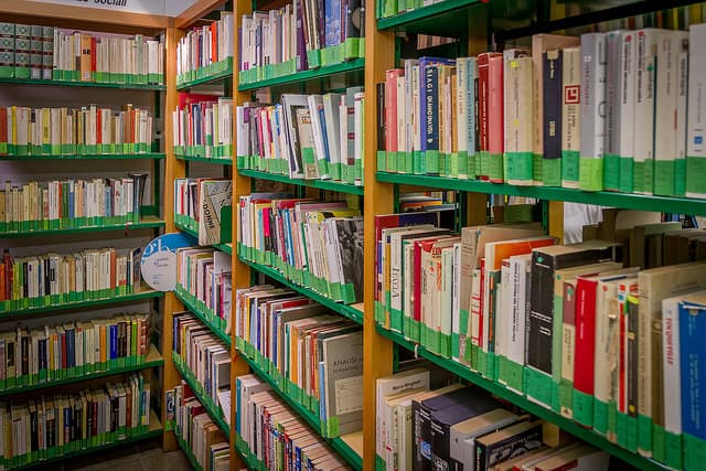 State library NSW sees demand for multilingual books