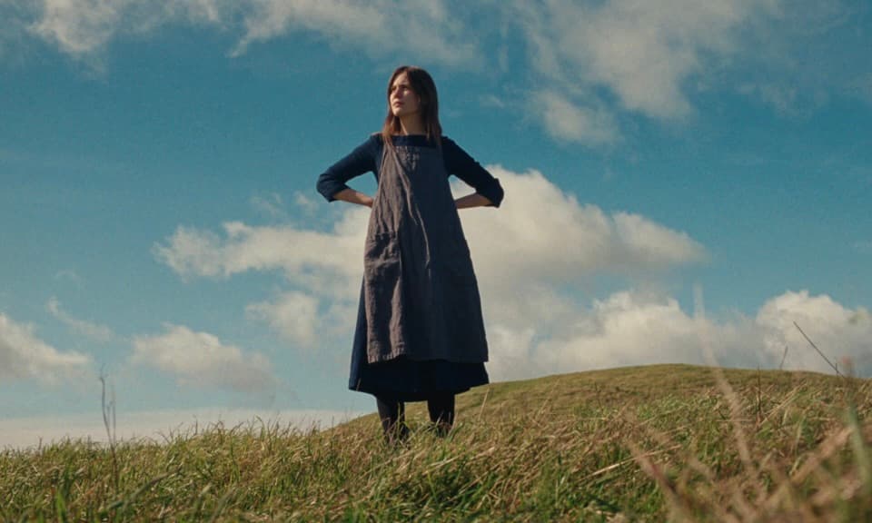 We Harbour Marina Allen