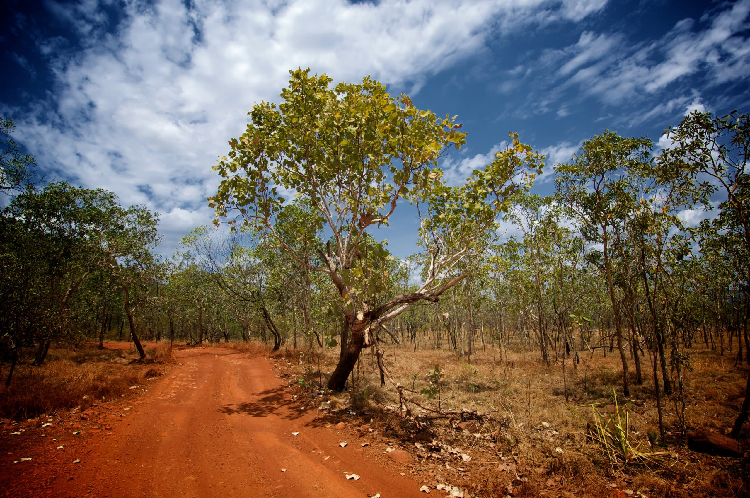 Travel Series No. 2: The Remote Community of Maningrida