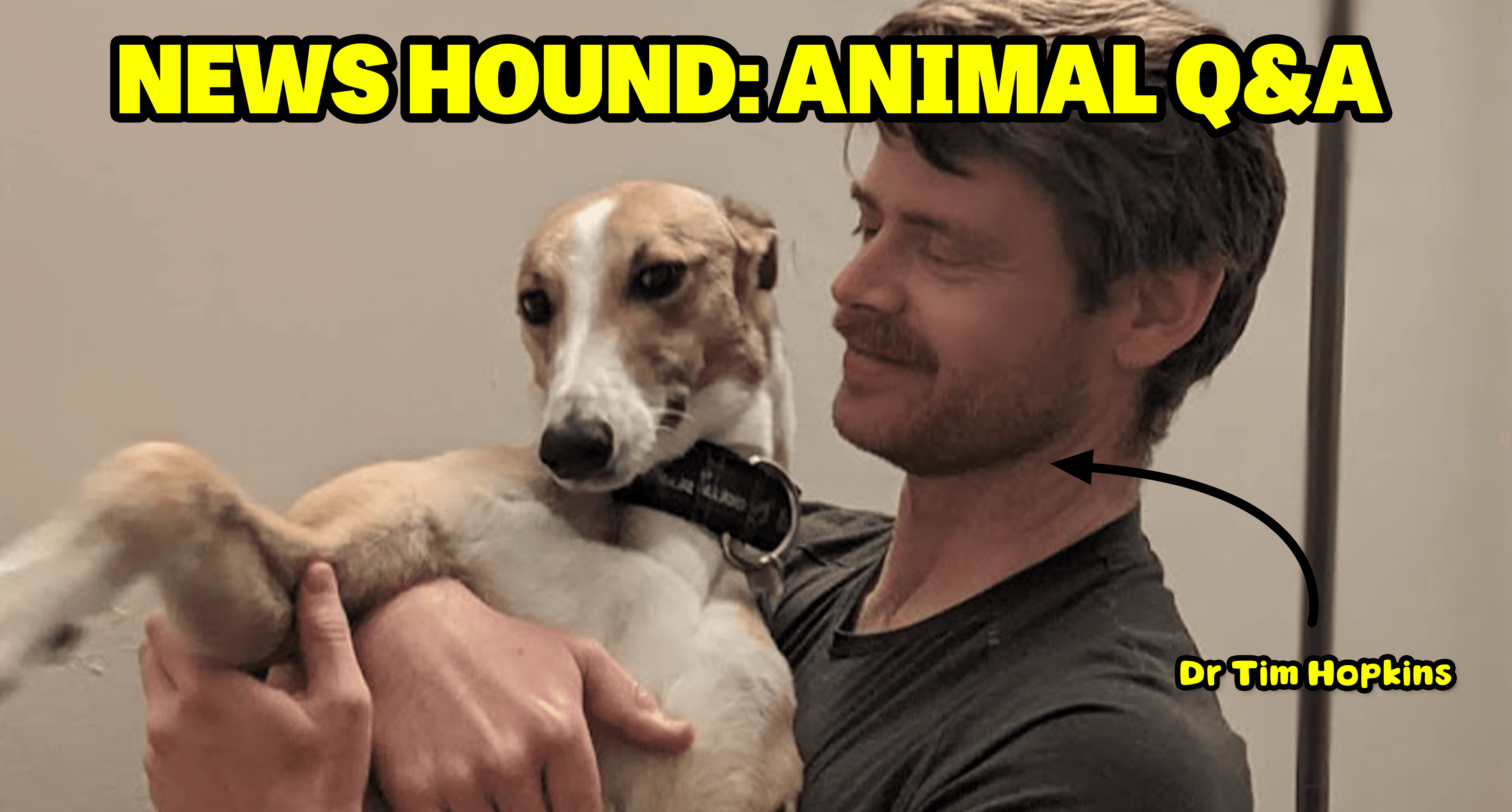 Our Biggest Animal Questions Answered With Dr Tim Hopkins