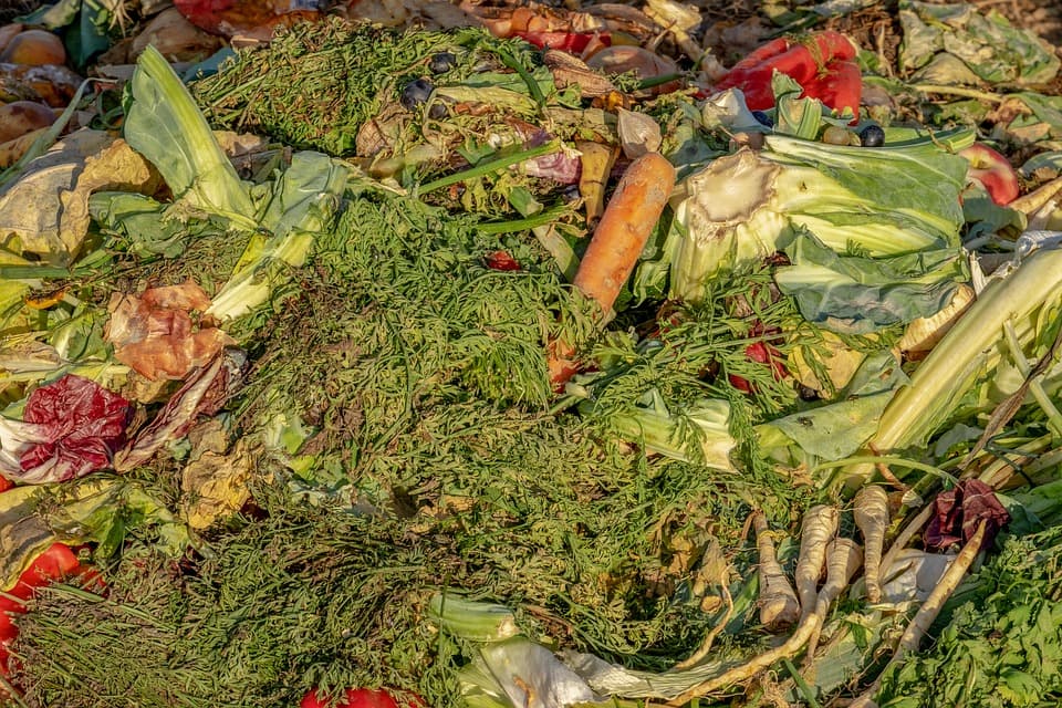 National Food Waste Summit tackles Australia’s 7.6 million tons of food waste