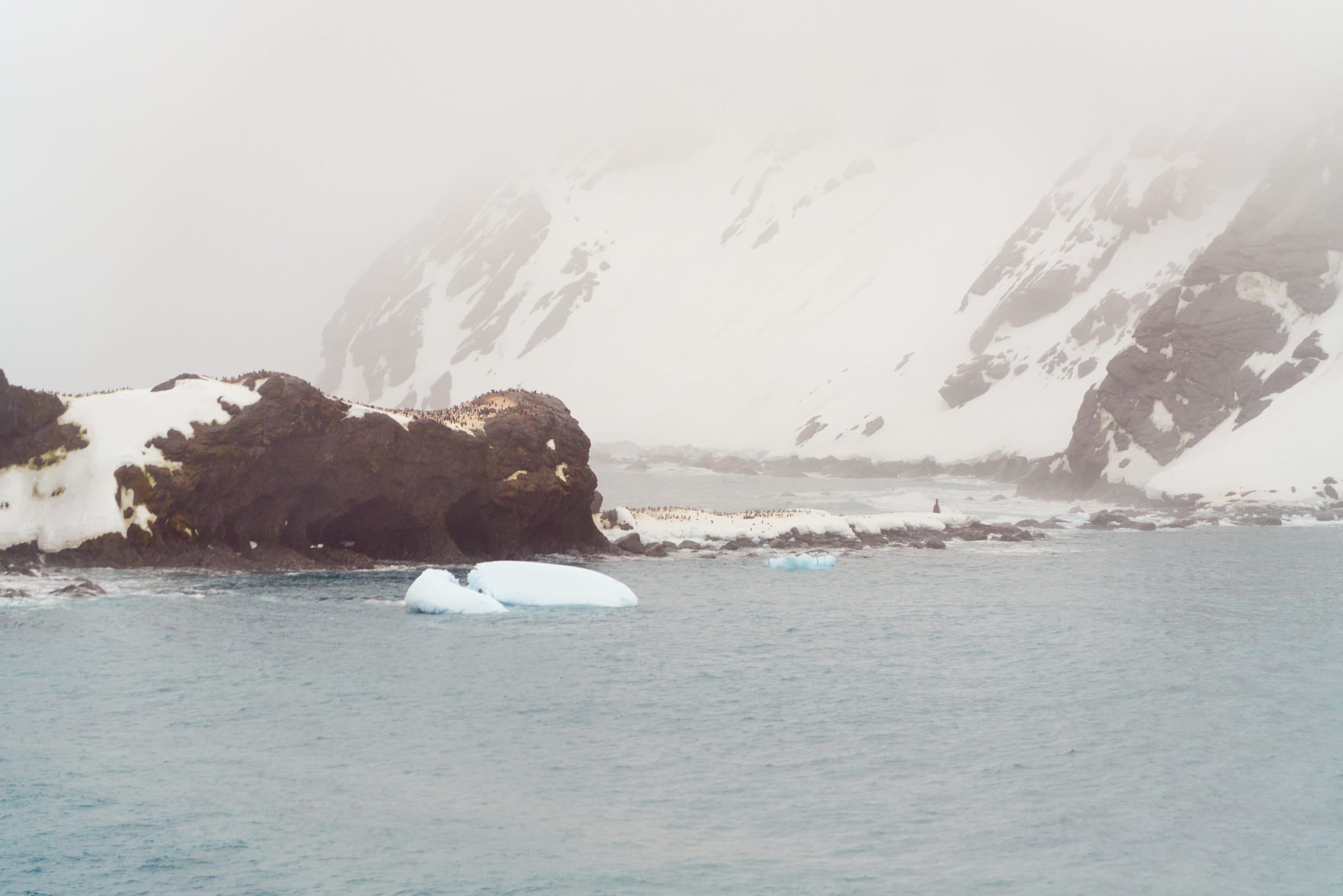 On Thin Ice: Exploring Antarctica in VR