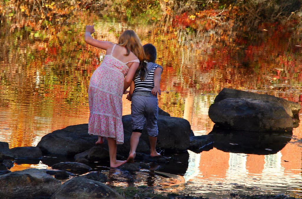 Evidence Supports Community Approach for Children Diagnosed with Autism