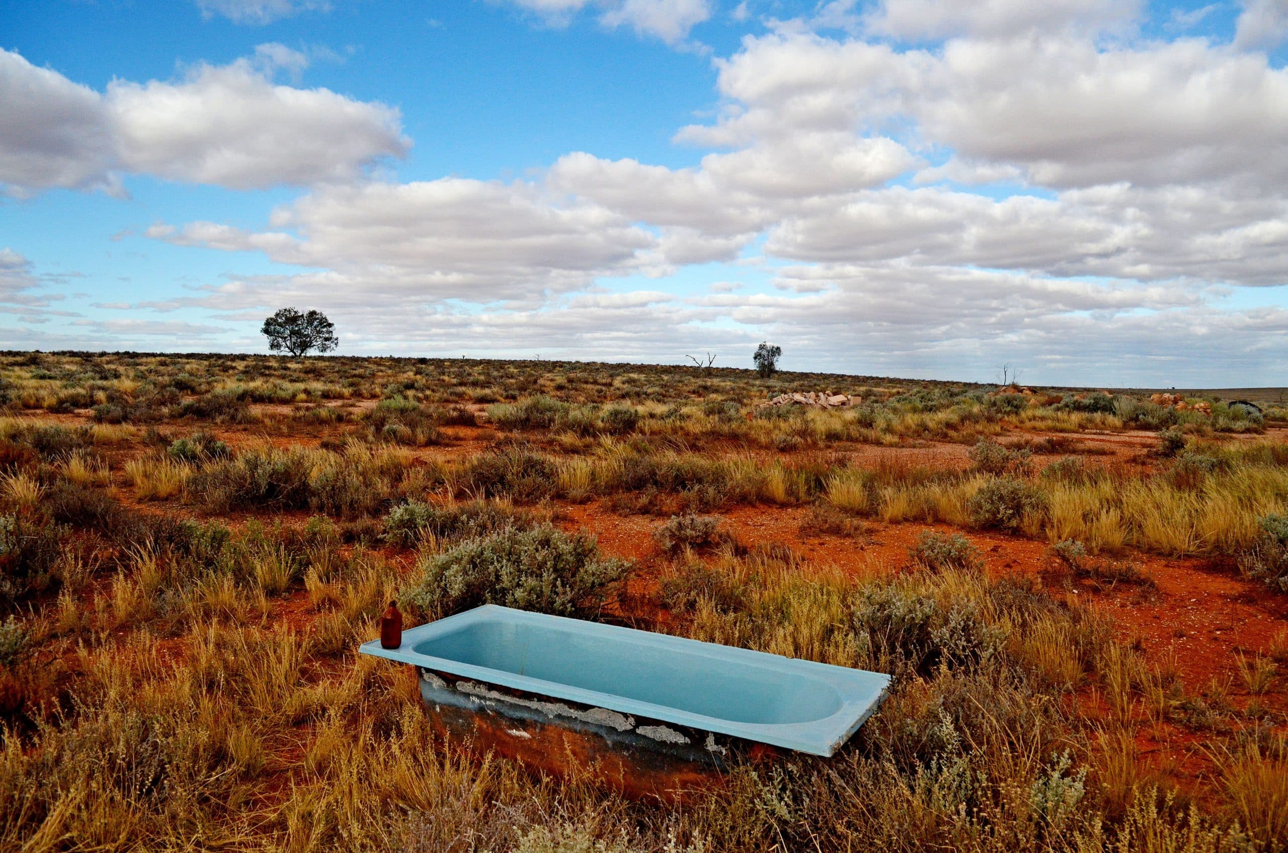 Tara Johns New Exhibition