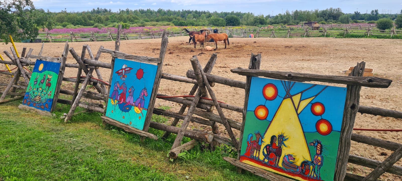 Farm in Canada expanding Indigenous knowledge