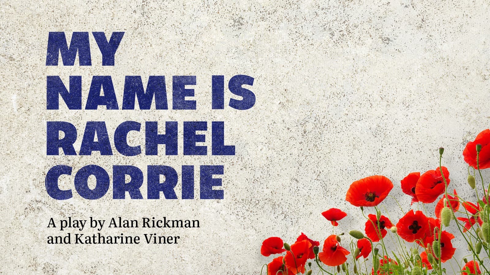 My Name Is Rachel Corrie Plays at Theatre Redfern