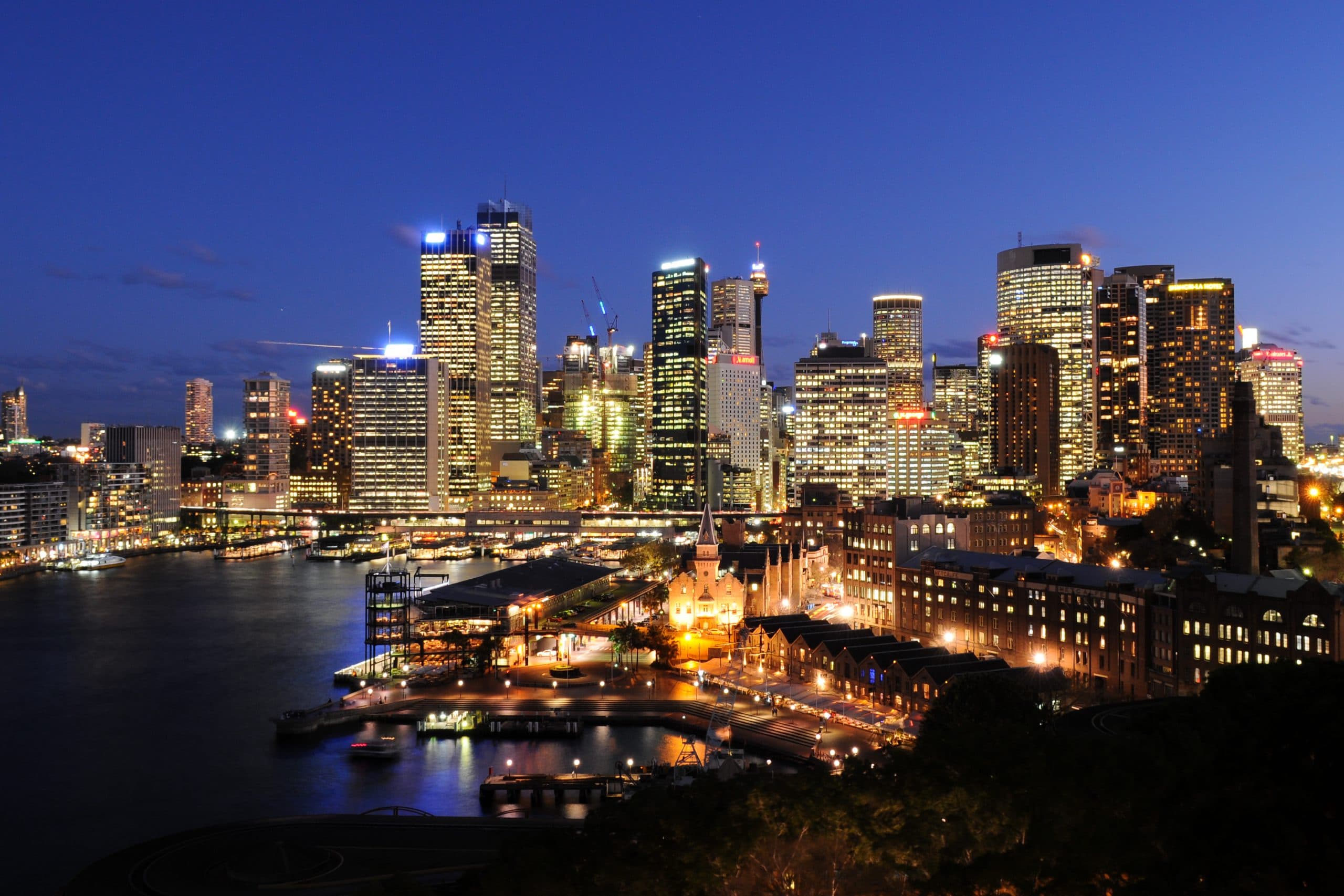 Australia’s Friendly Neighbourhood Spiders- The Impacts of Light Pollution