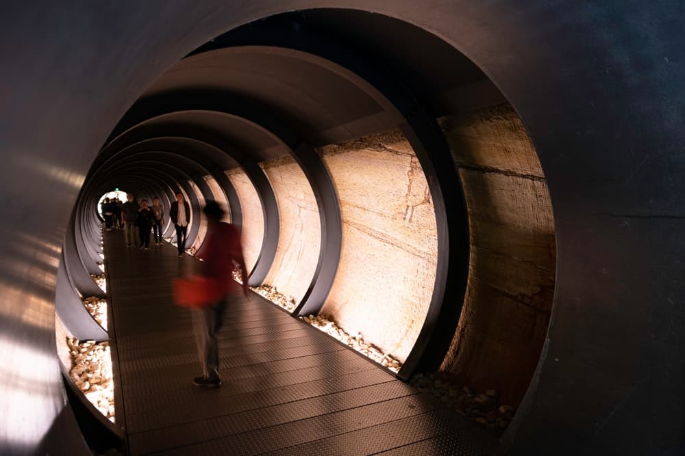 MONA Legal Challenge Simply Irresistible