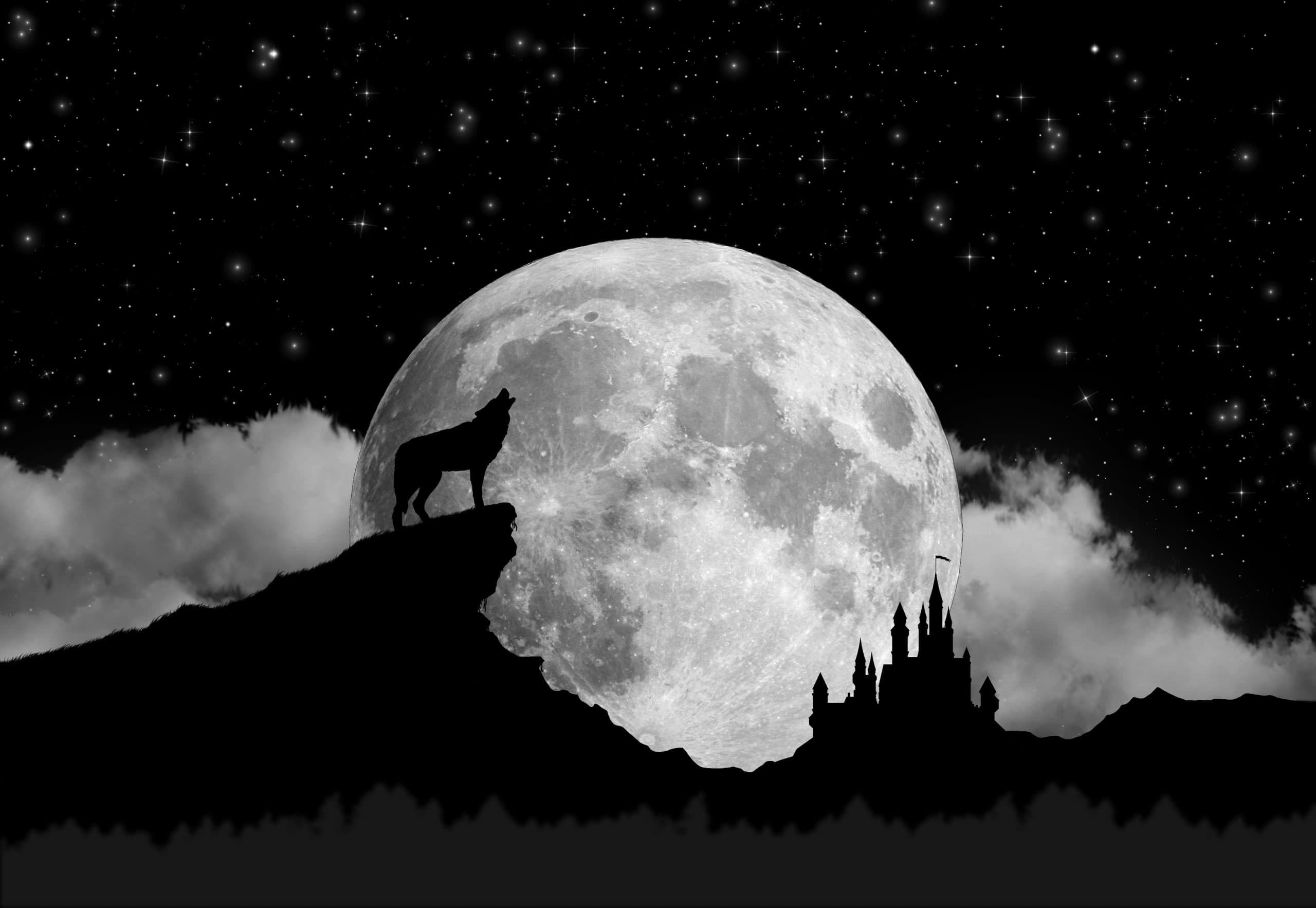 Lostwave: Somewhere In The Night