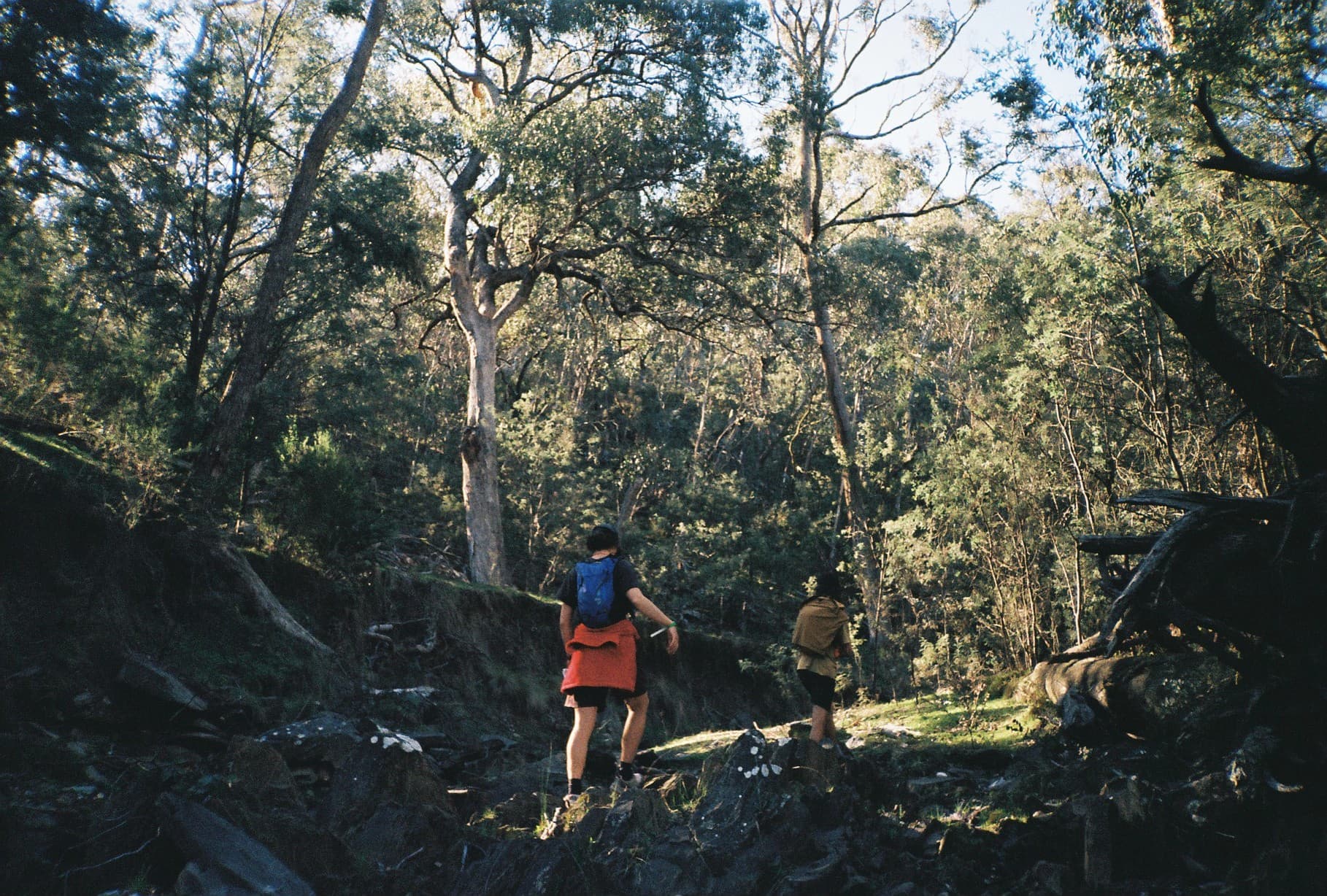 The Wild World of Rogaining