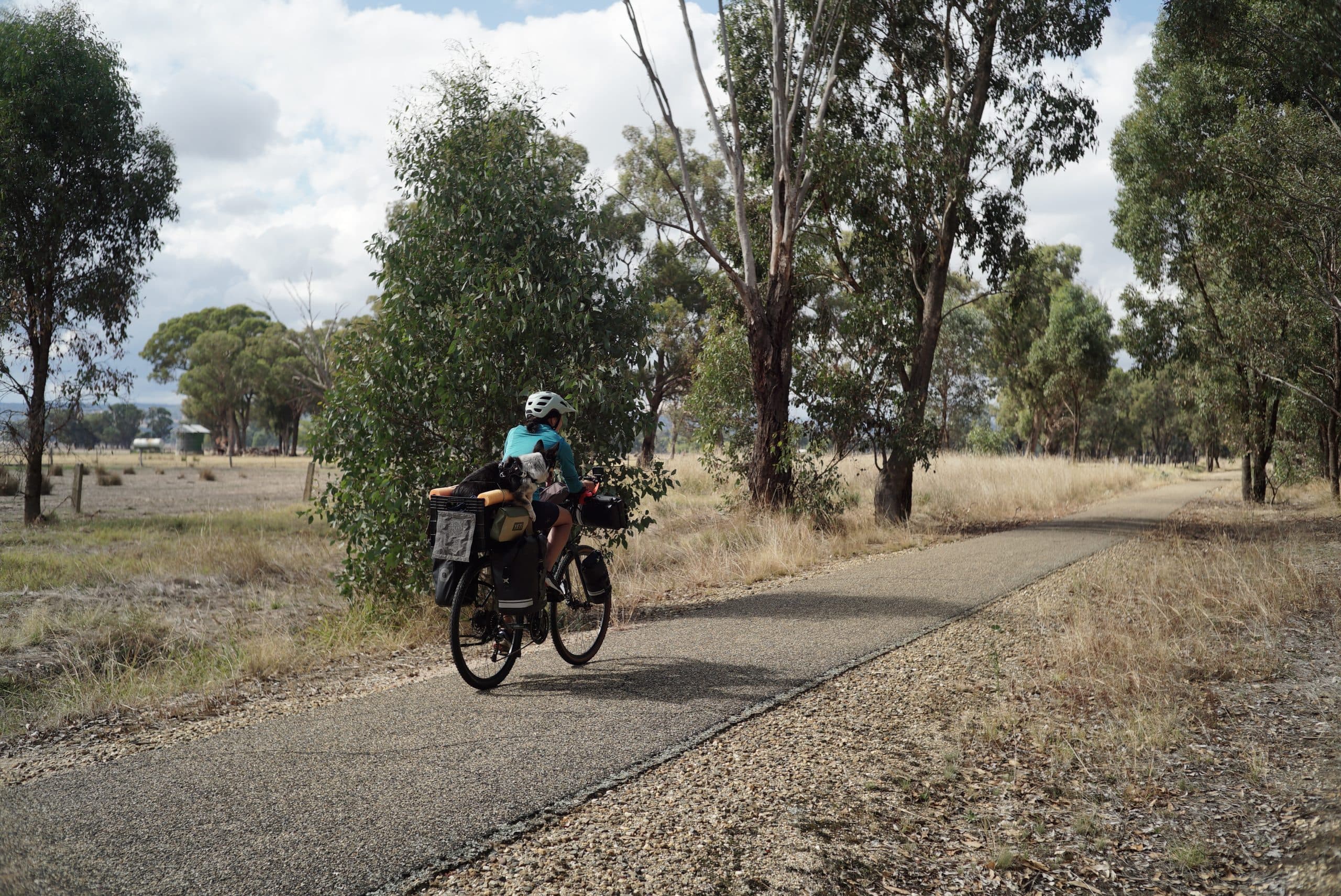 Get Away with Dre: World Sustainable Transport Day