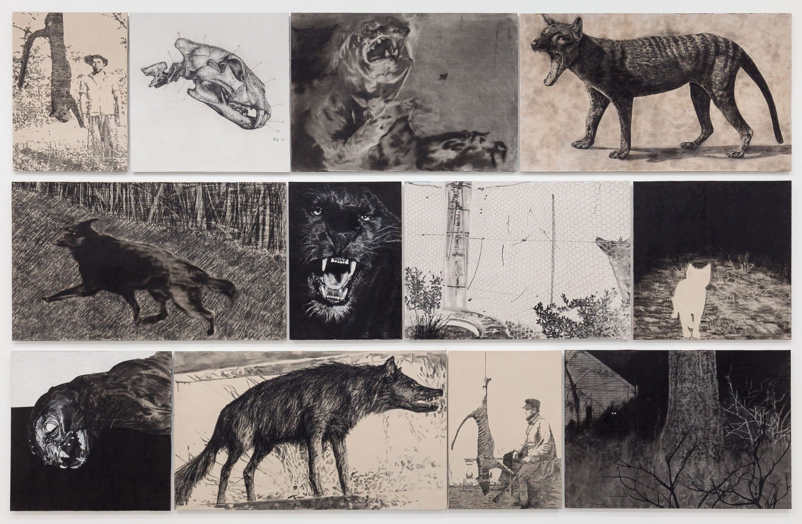 Spot the Difference – An exhibition on the elusive Penrith Panther