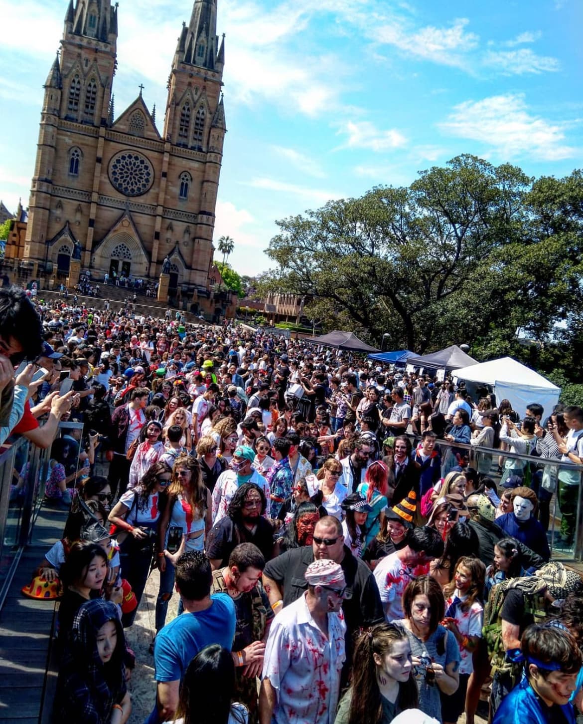 Watch Out! The Sydney Zombies Are Coming!