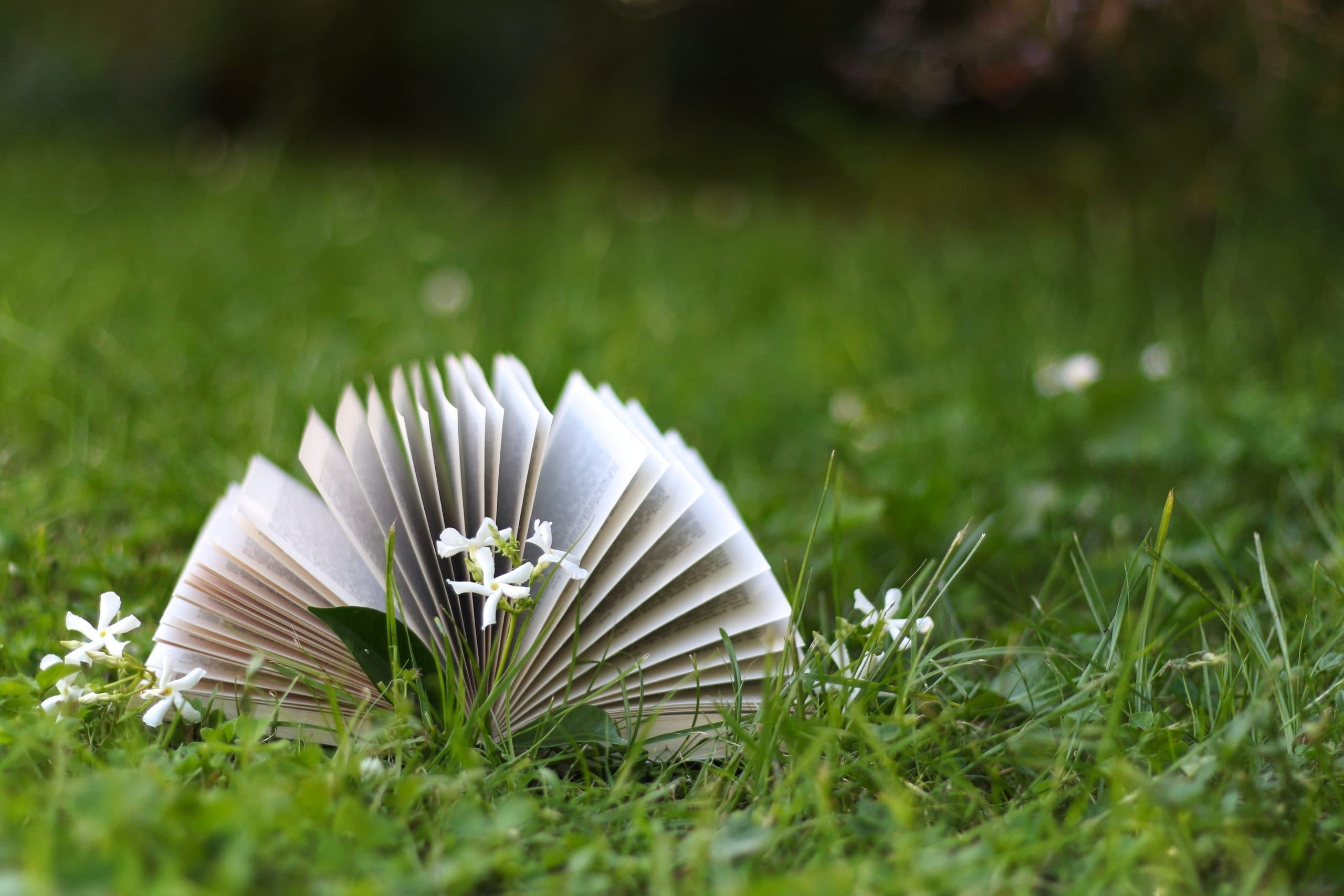 Jamie Oliver in Hot Soup for Indigenous Appropriation