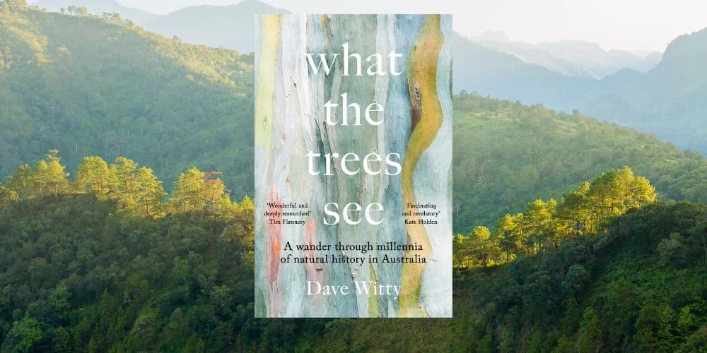 “What The Trees See”- The Mark and Evette Moran Literary Award
