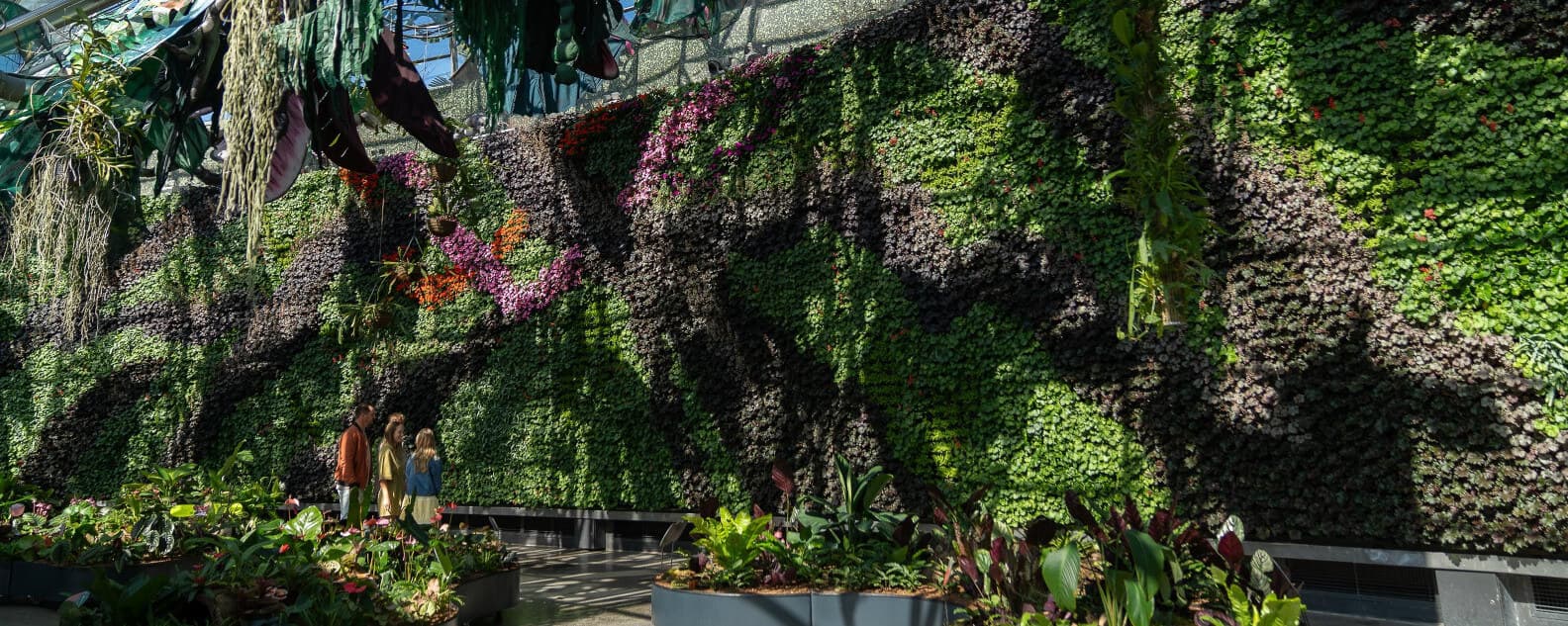 A Rainforest right inside the city – Alchemy of a Rainforest