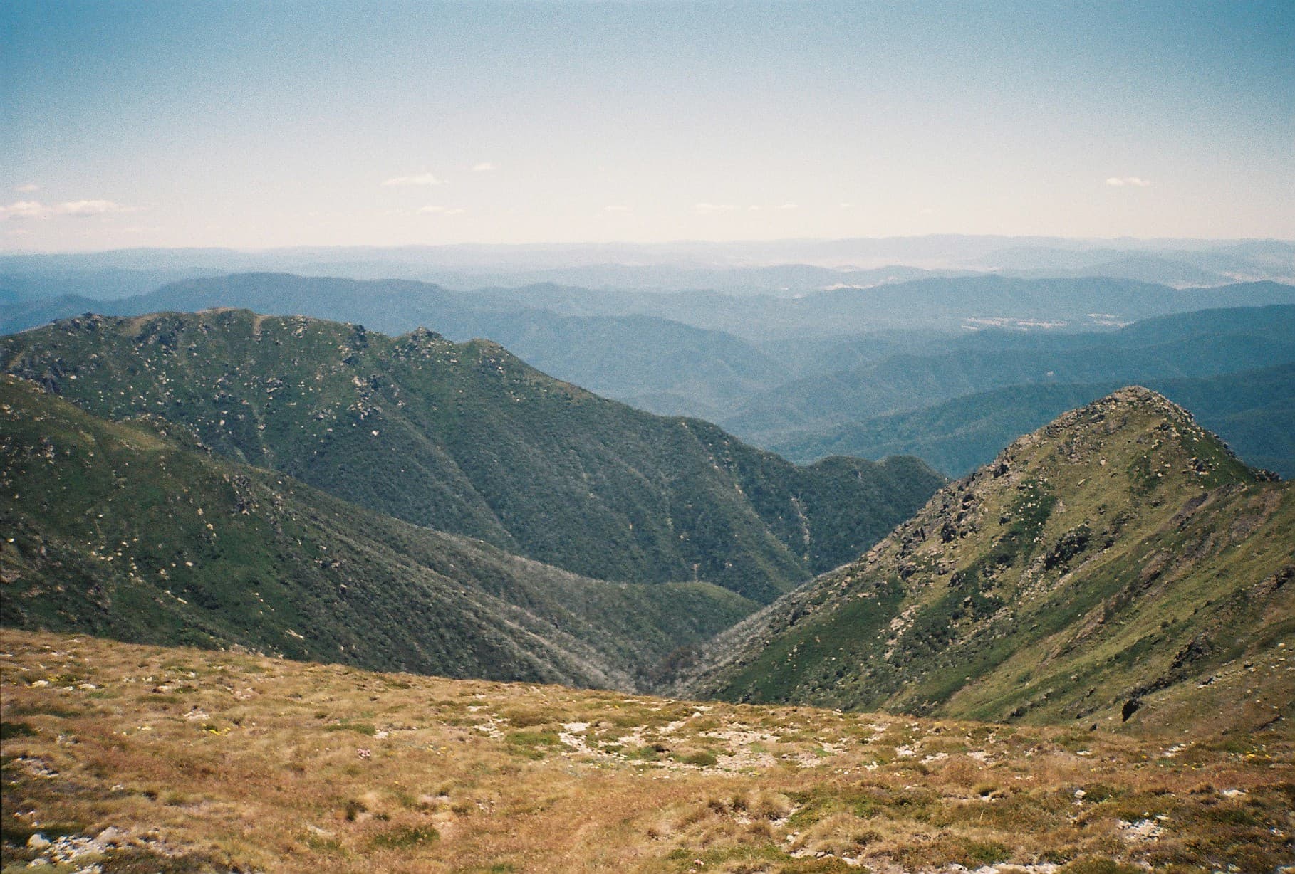 Missing hiker Hadi Nazari found after 13 days alone in Kosciuszko wilderness