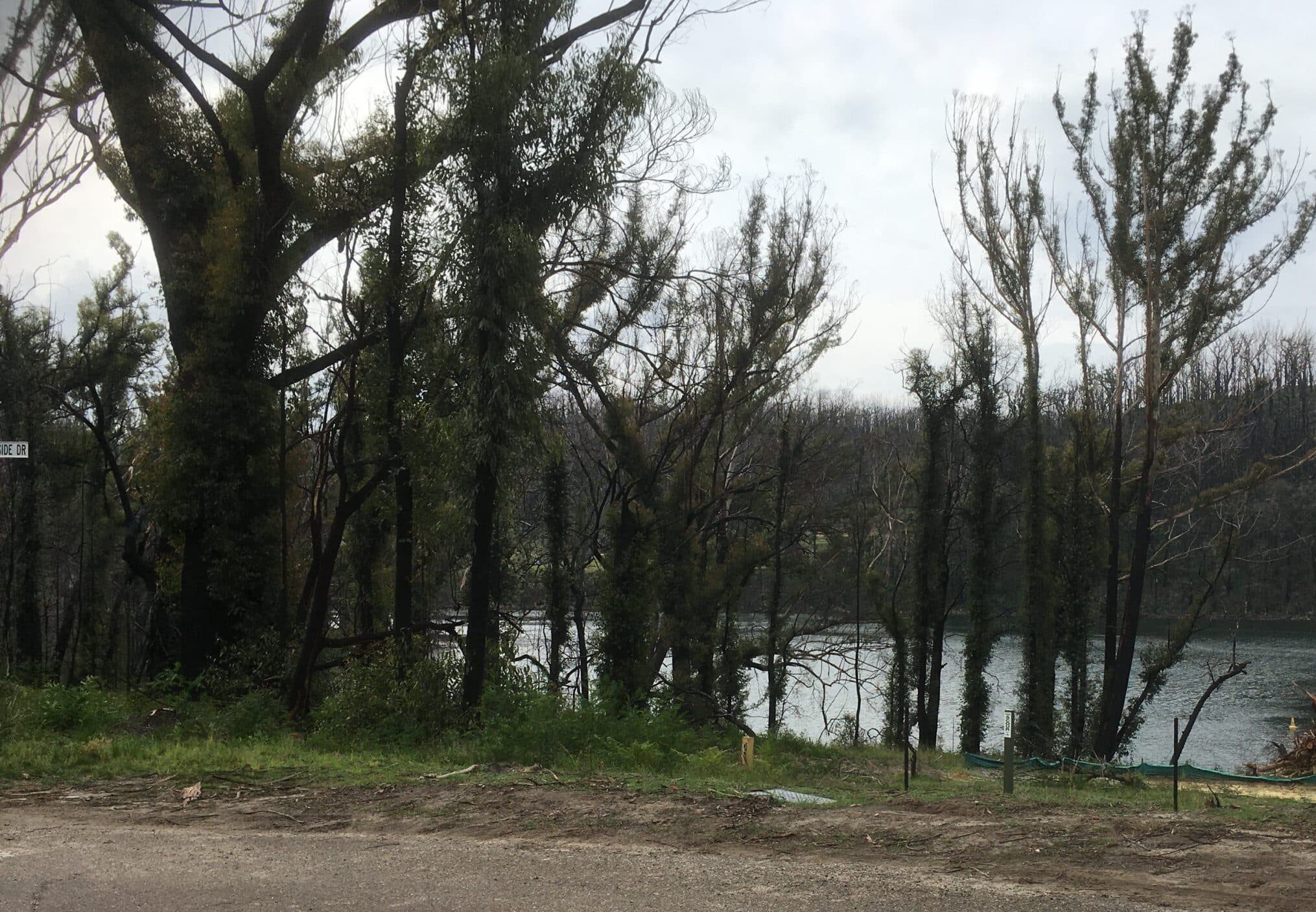 Zombie DA’s close in on Manyana