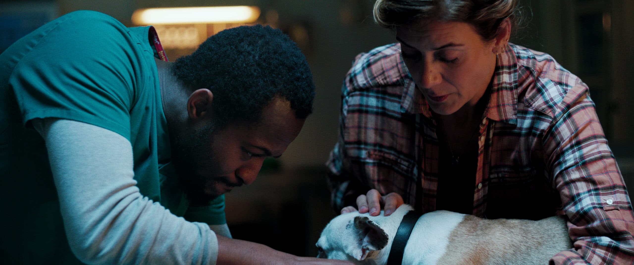 Flickerfest 2025: The Dog with Danielle Baynes