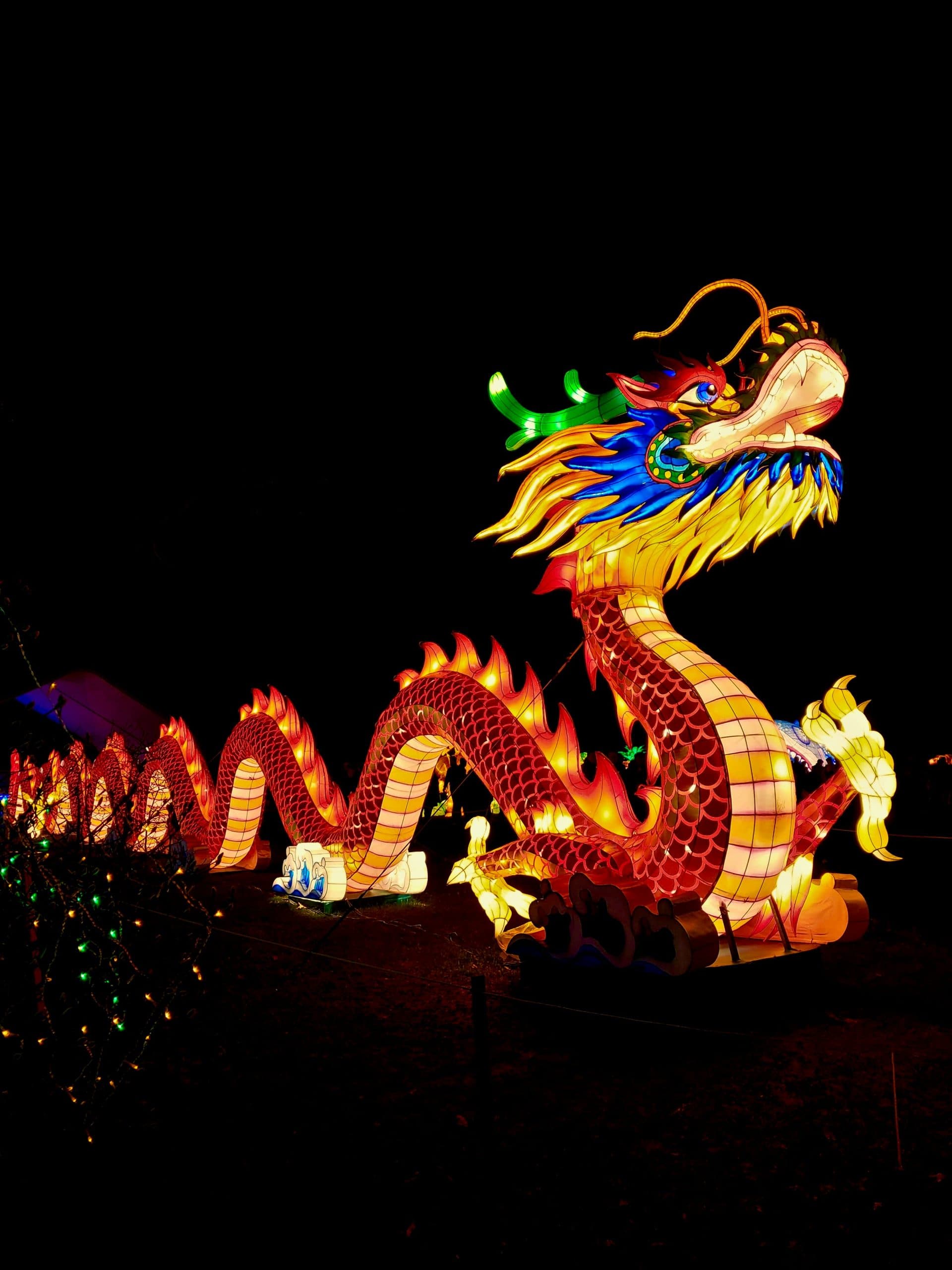 Sydney Lunar Festival: the Year of the Snake