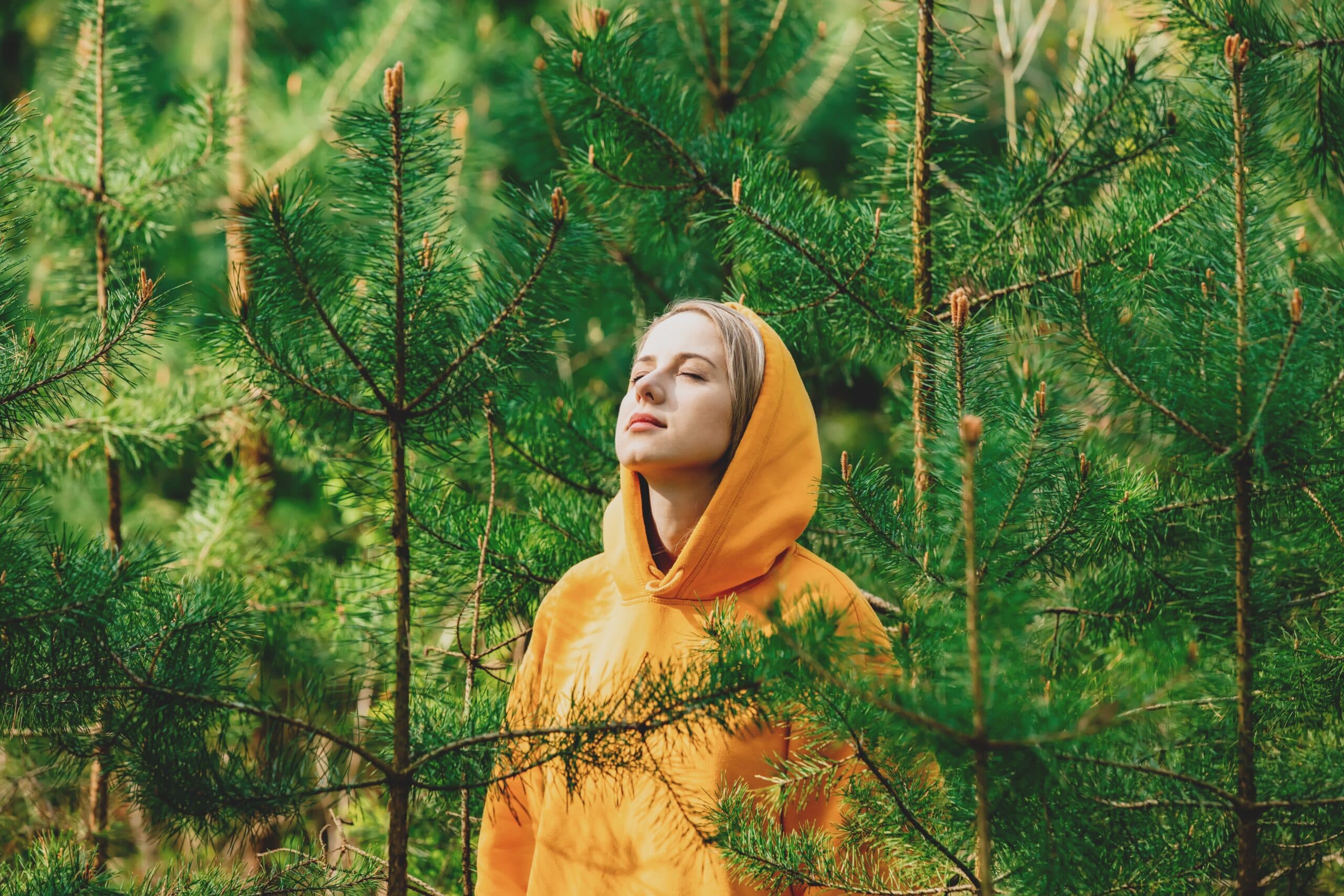 Deep listening to the sounds of nature