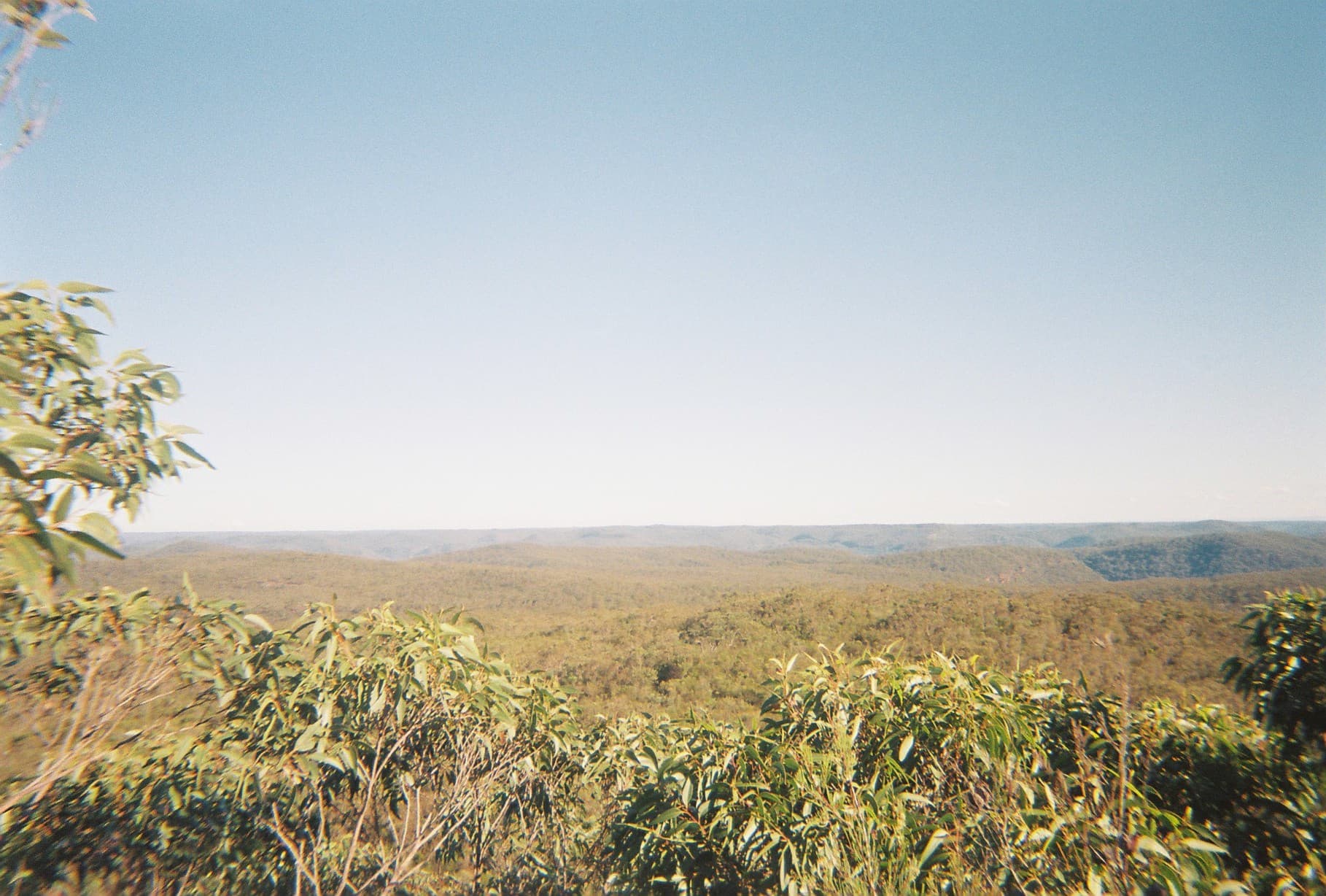 NSW Forestry Corporation misreports three years of logging data