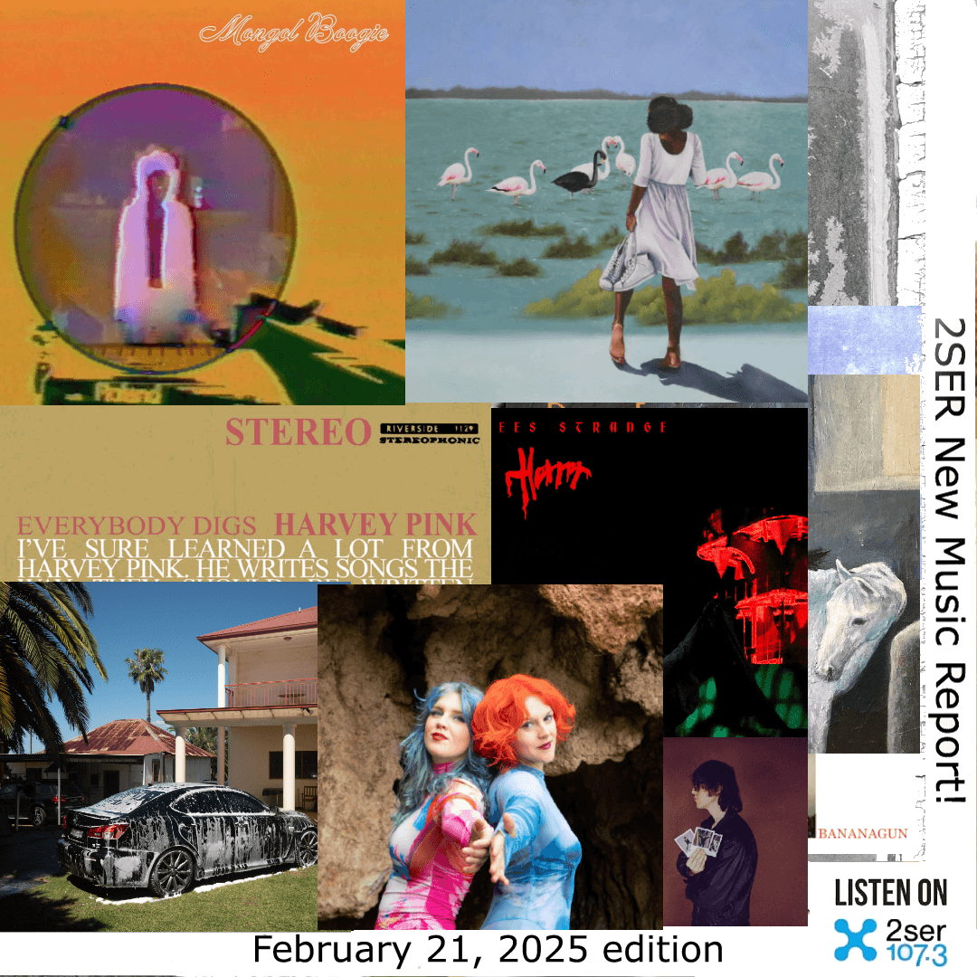 2SER New Music Report! (February 21, 2025 edition)