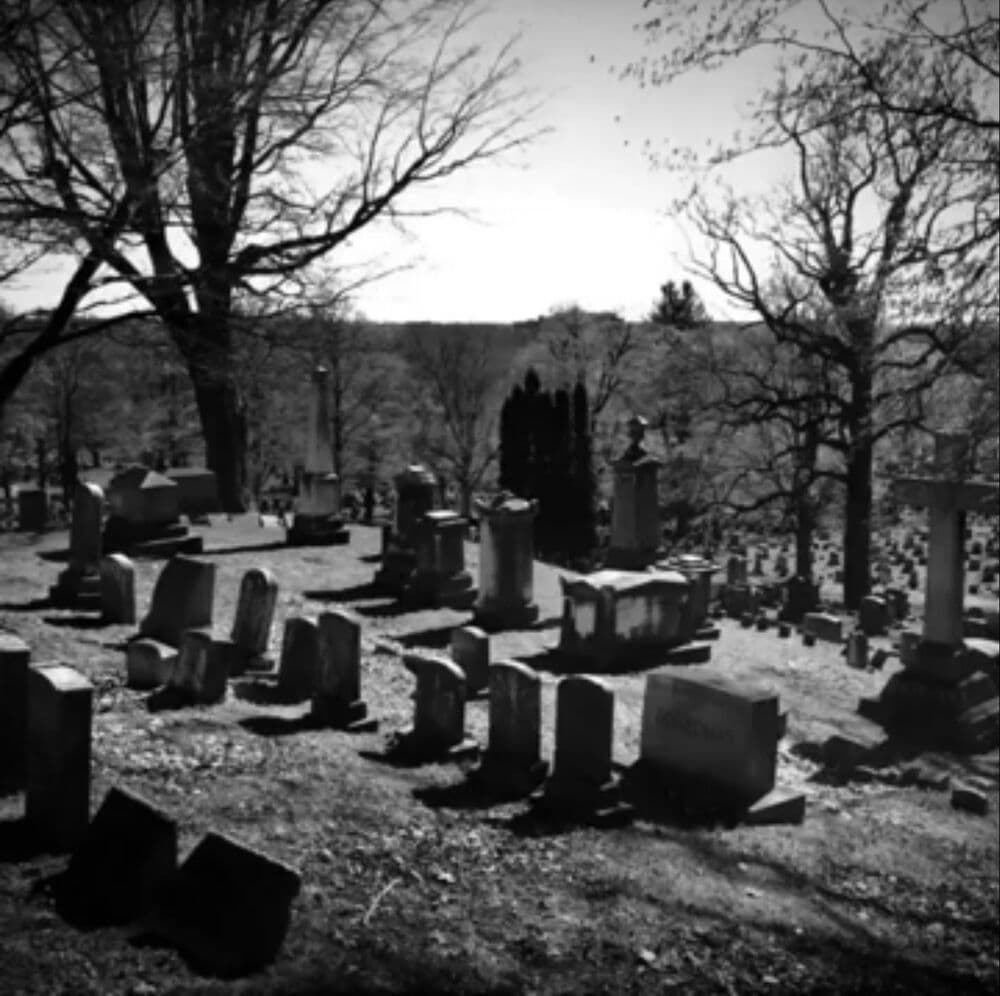 Lostwave: You Were Never Meant To Go