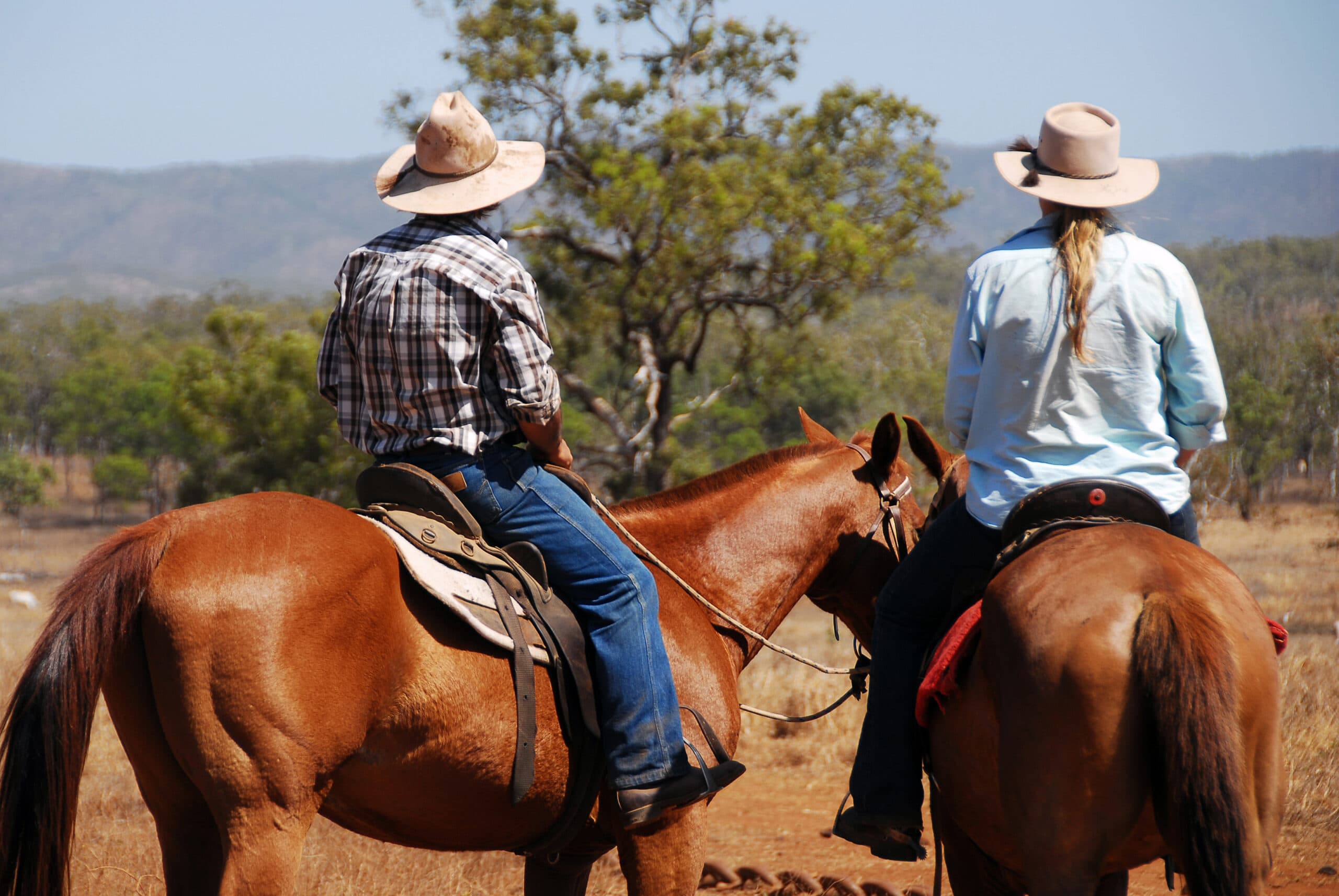 Dating app overcomes tyranny of distance