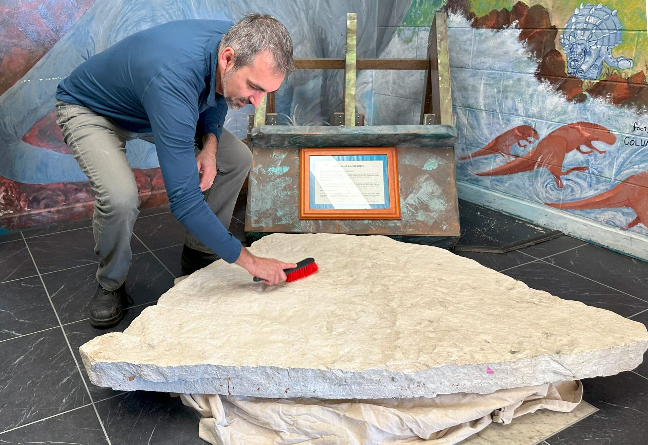 Dinosaur footprints found at a Queensland school