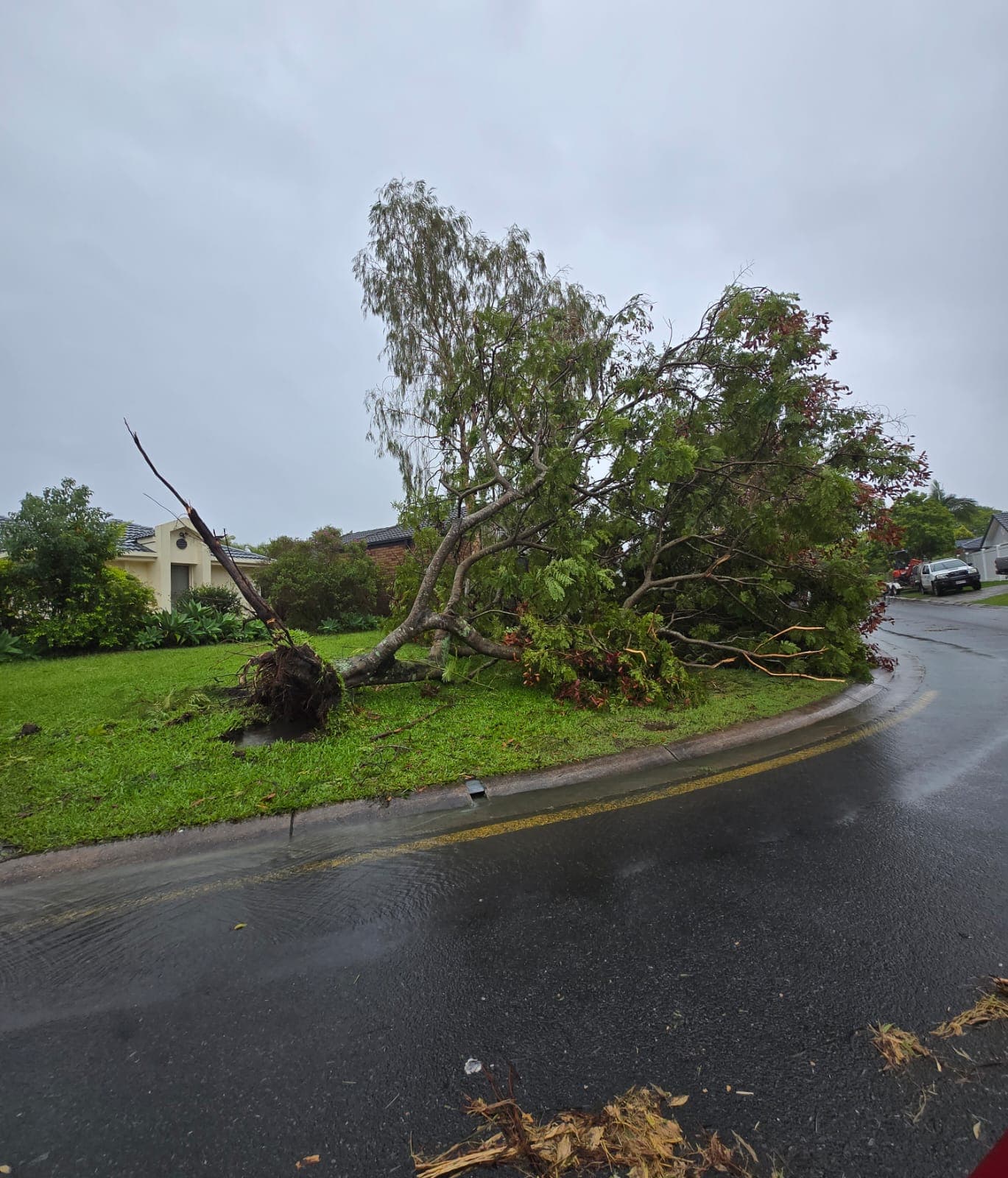 Disaster Legal Helpline available for ex-cyclone Alfred victims
