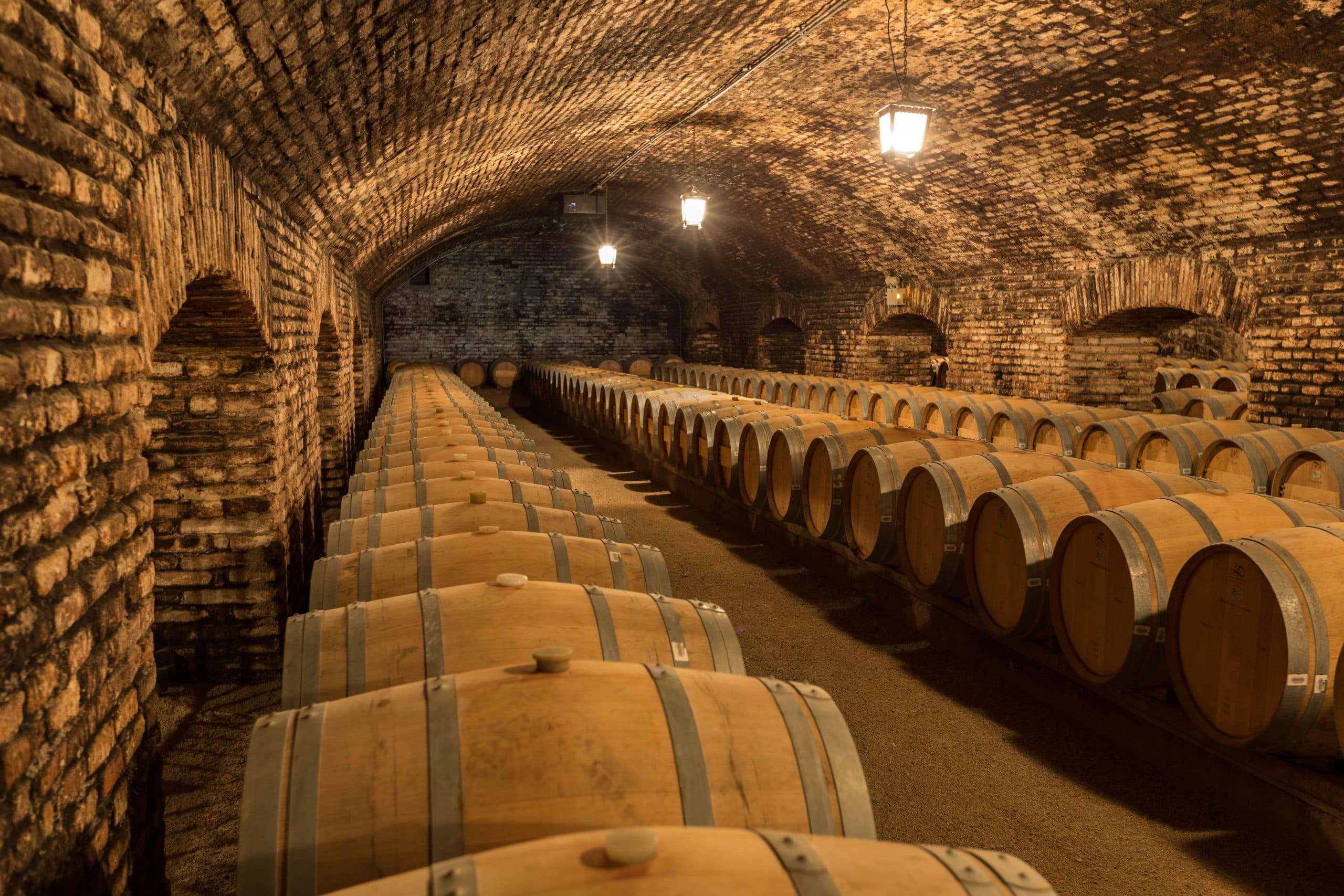 Wine Chat: How to make wine – Elevage and Bottling