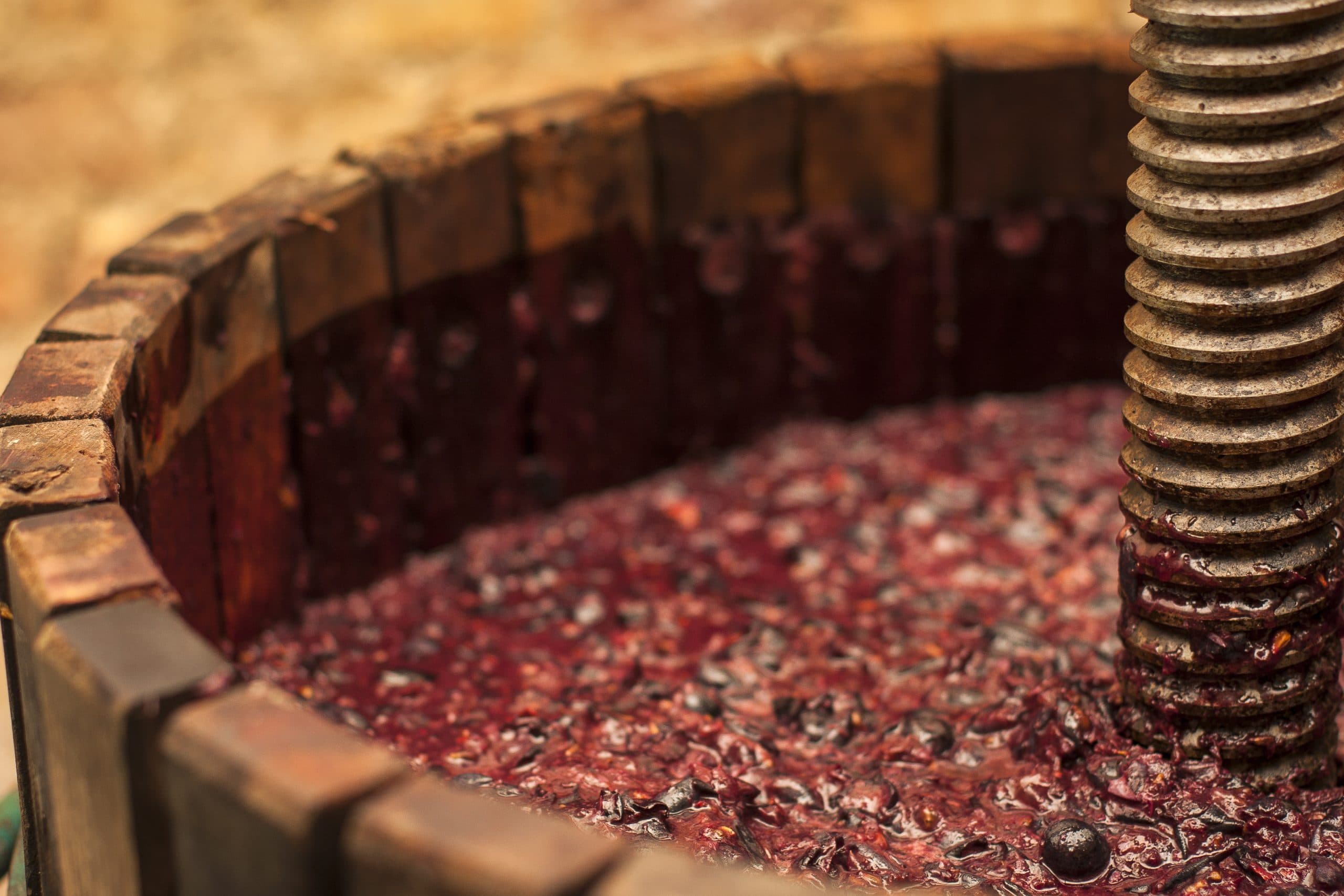 Wine Chat: How to make wine – The Crush