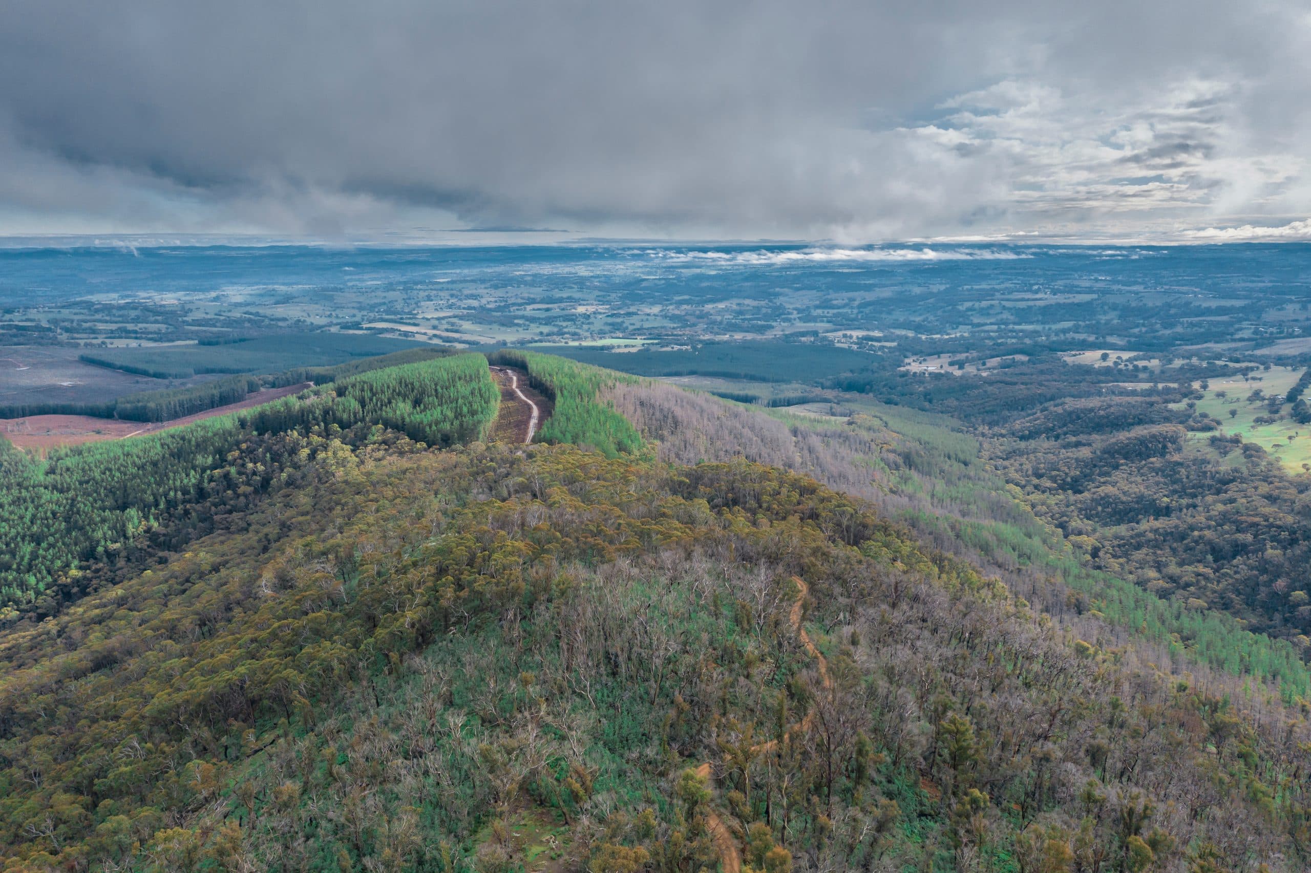 Wine Chat: Orange, NSW