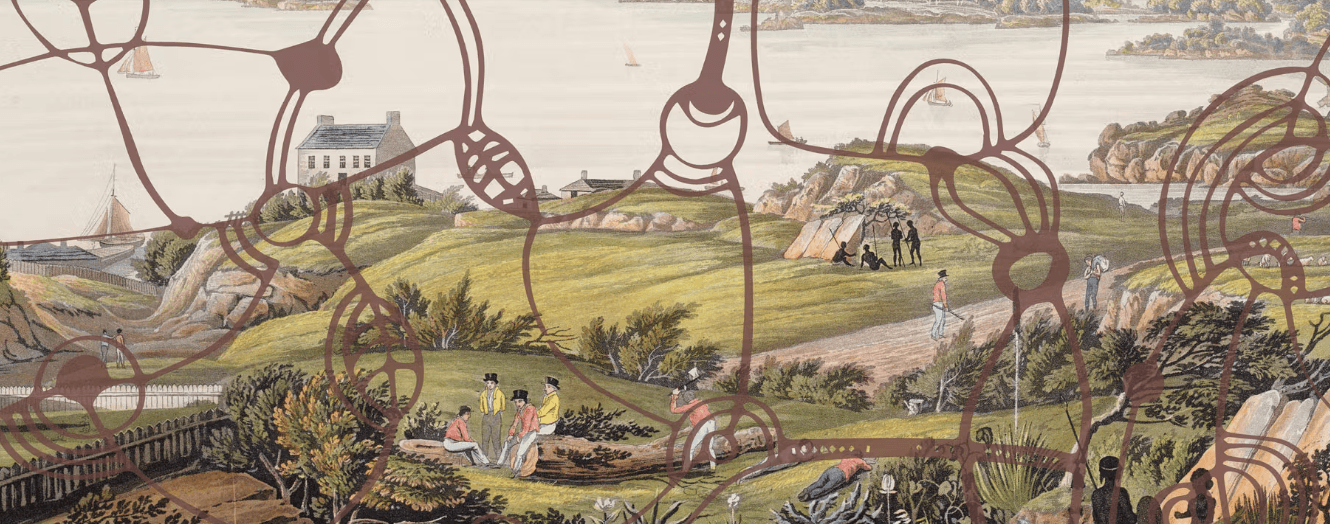 Seeing Sydney, Knowing Country by Alison Page