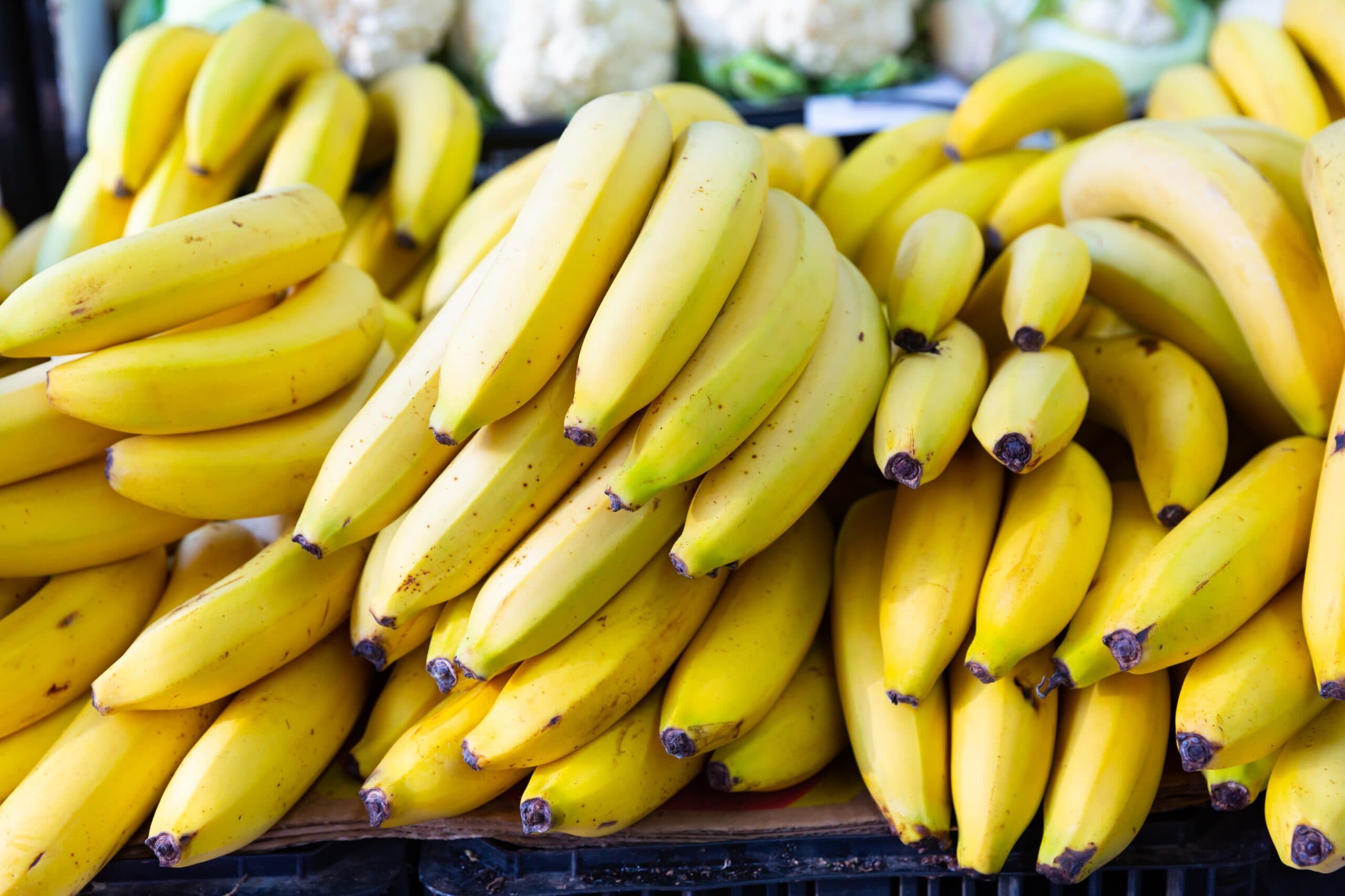 Has the future of bananas gone bananas?