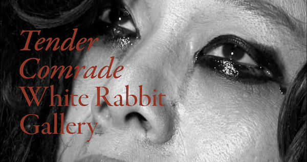 ‘Tender Comrade’ at the White Rabbit Gallery