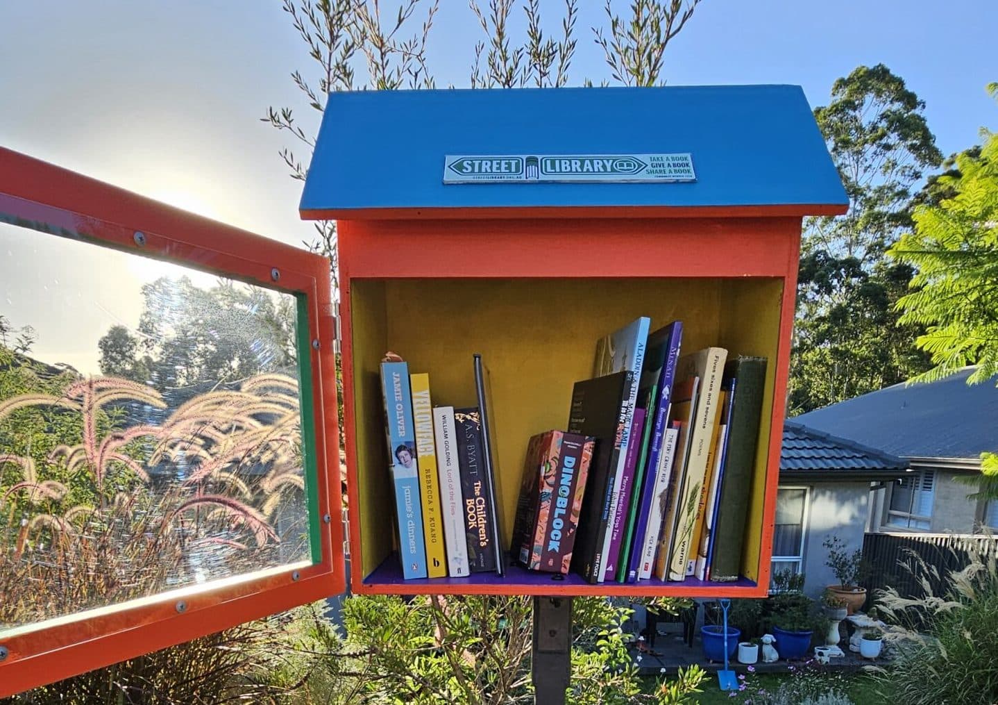The impact of Street Library Australia with Mel Lake