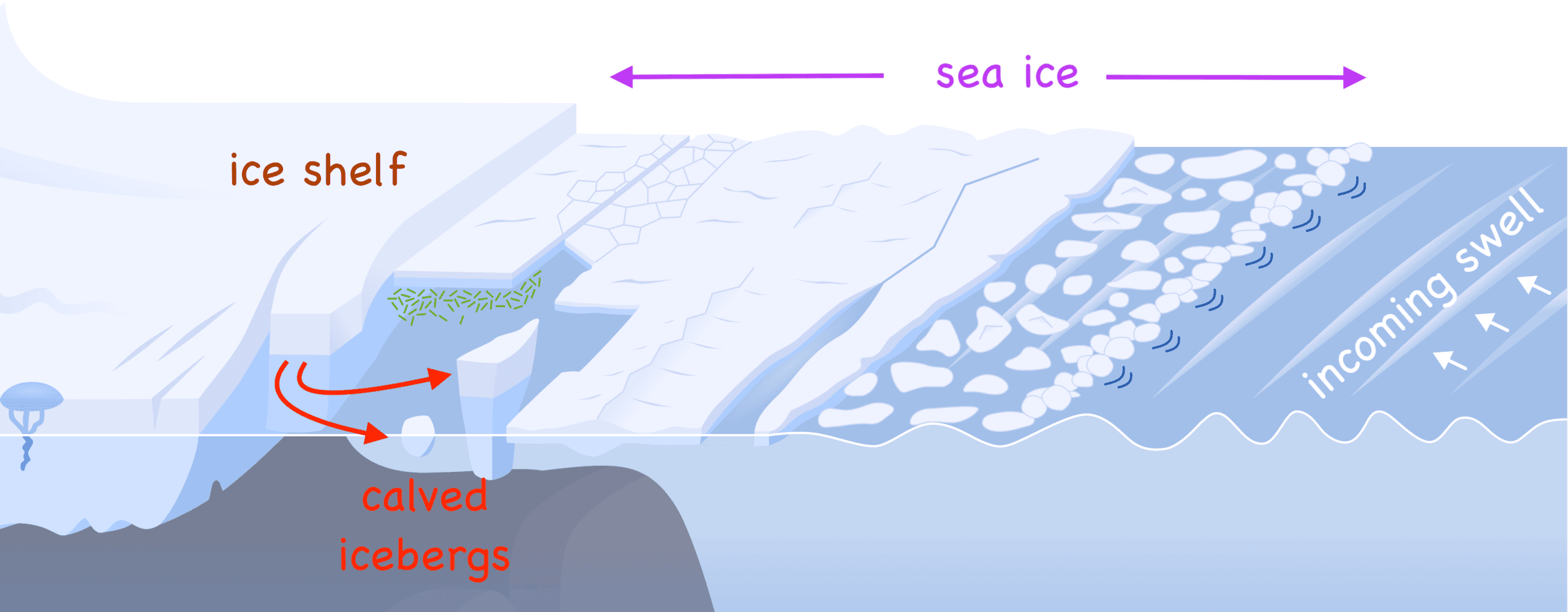 Antarctica’s ice sheets and the risk of rising seas