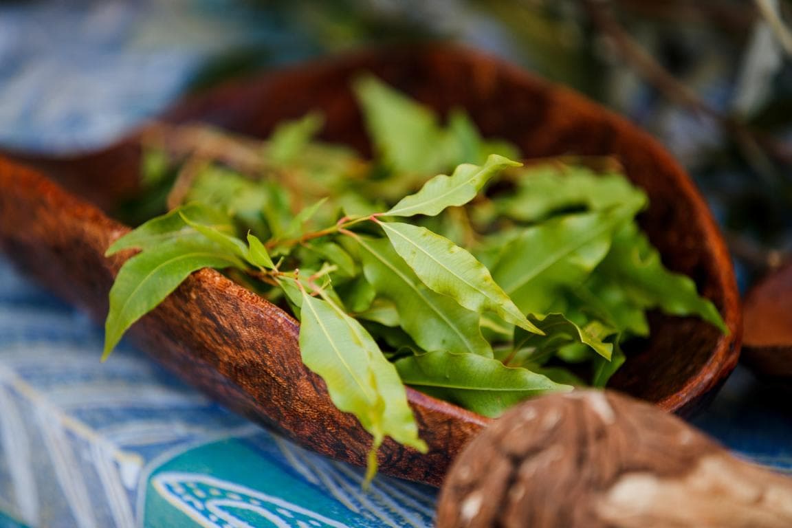 NAIDOC Week Celebration at Rouse Hill Estate