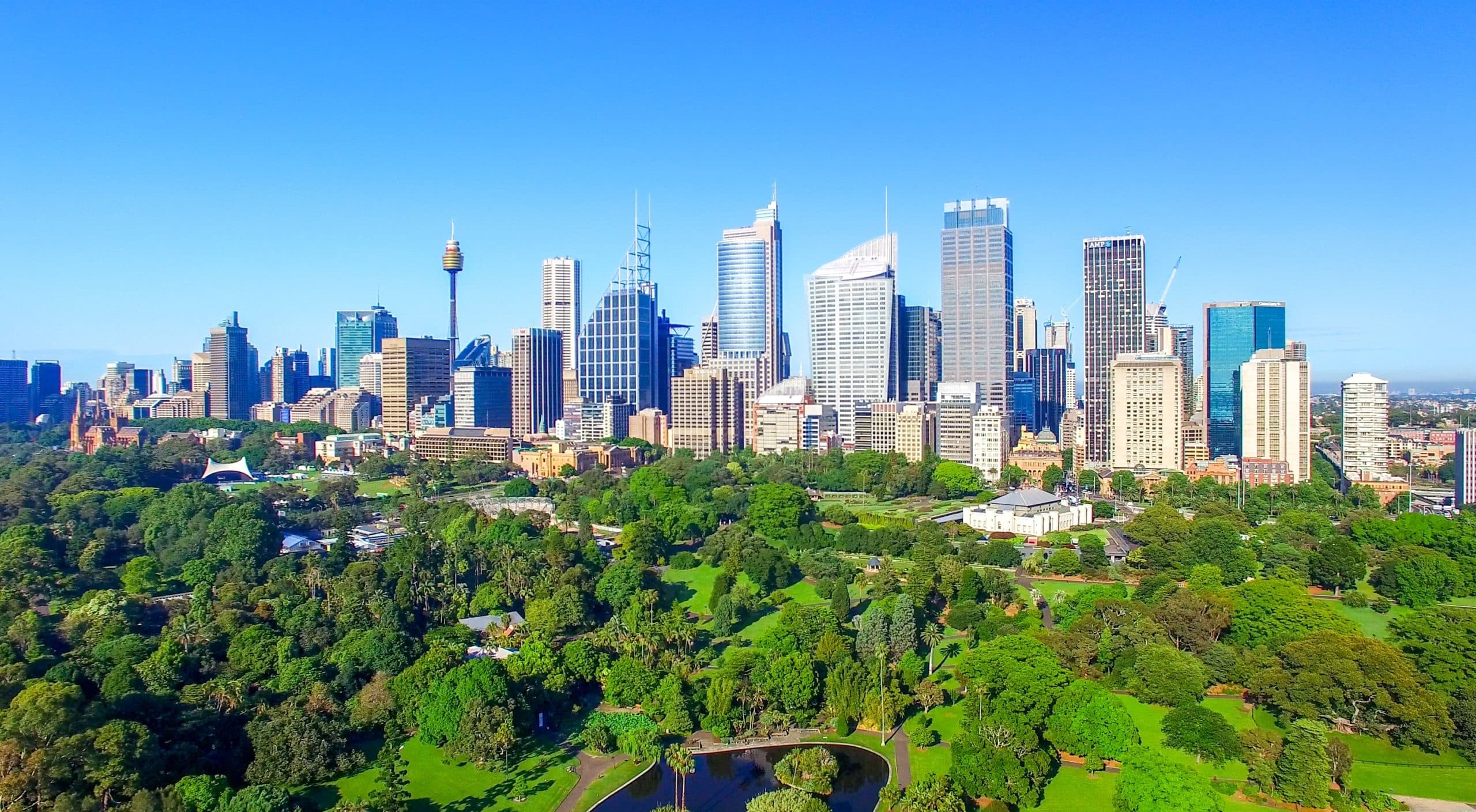 Warning over beetle after thousands of trees destroyed
