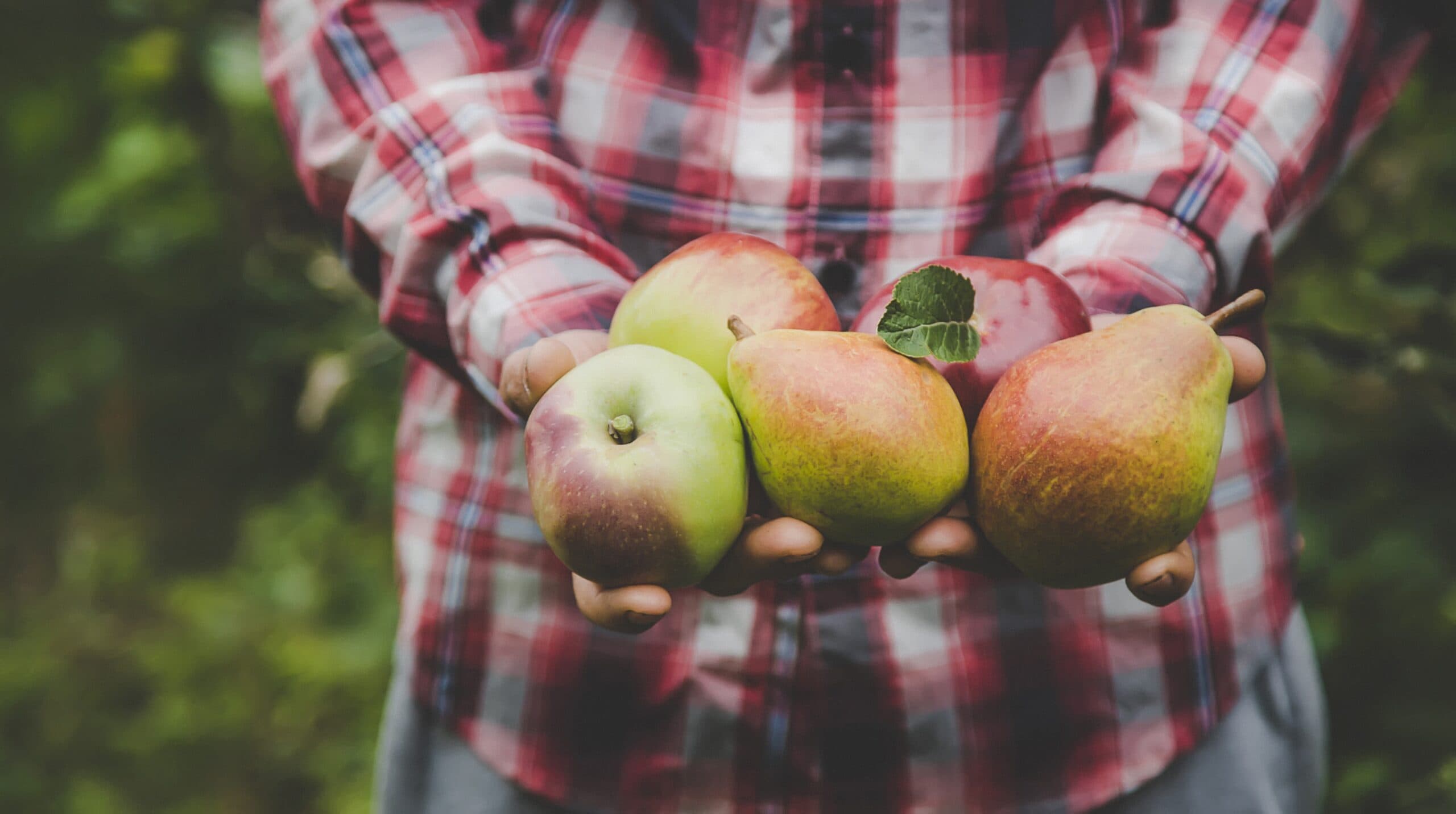 Australian Pear and Apple industry facing dark times but there is hope for the next five years
